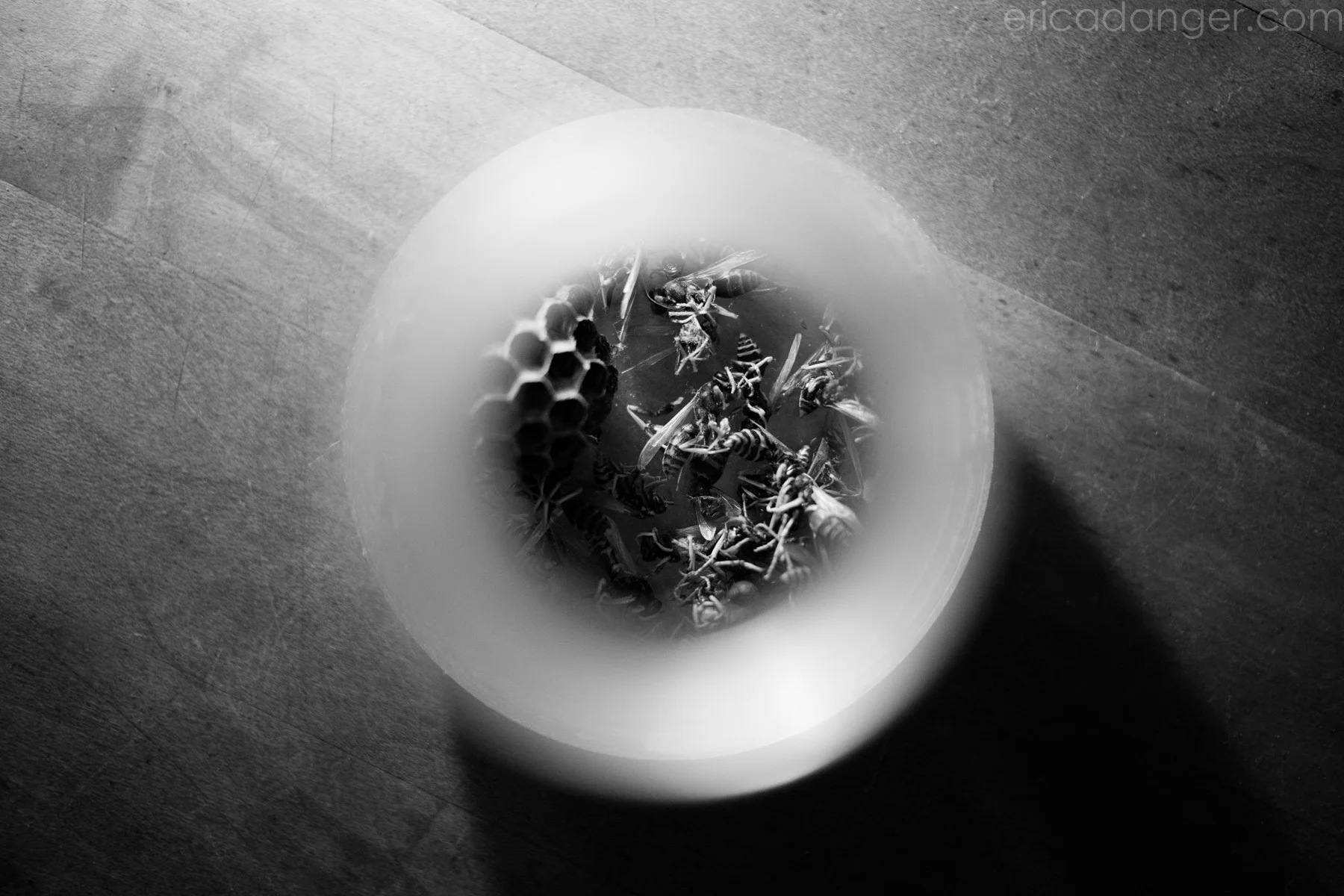 abstract-s.jpg