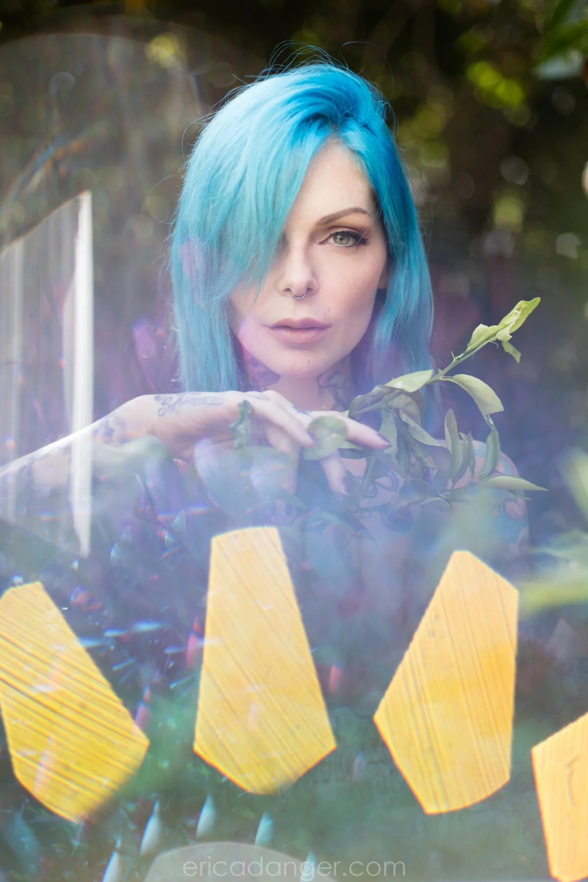 riae2-s.jpg