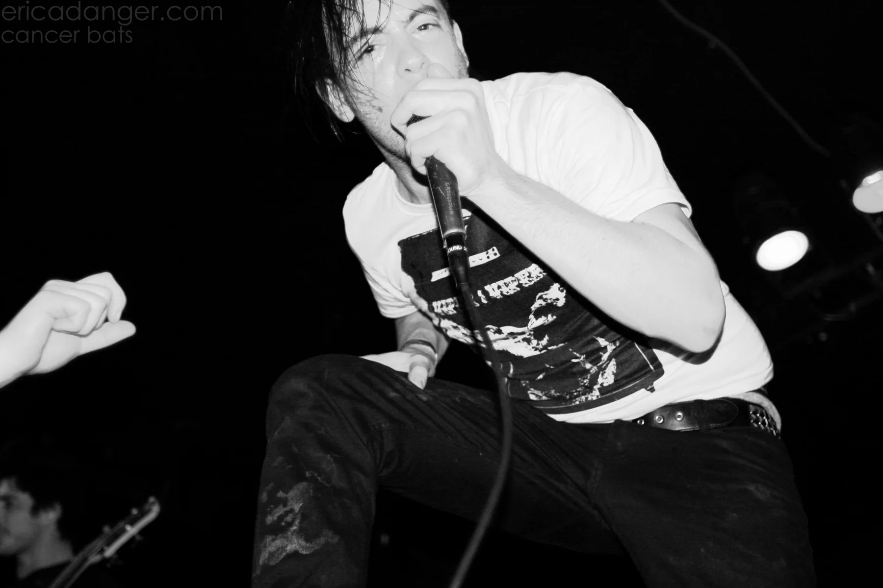 cancerbats05.jpg