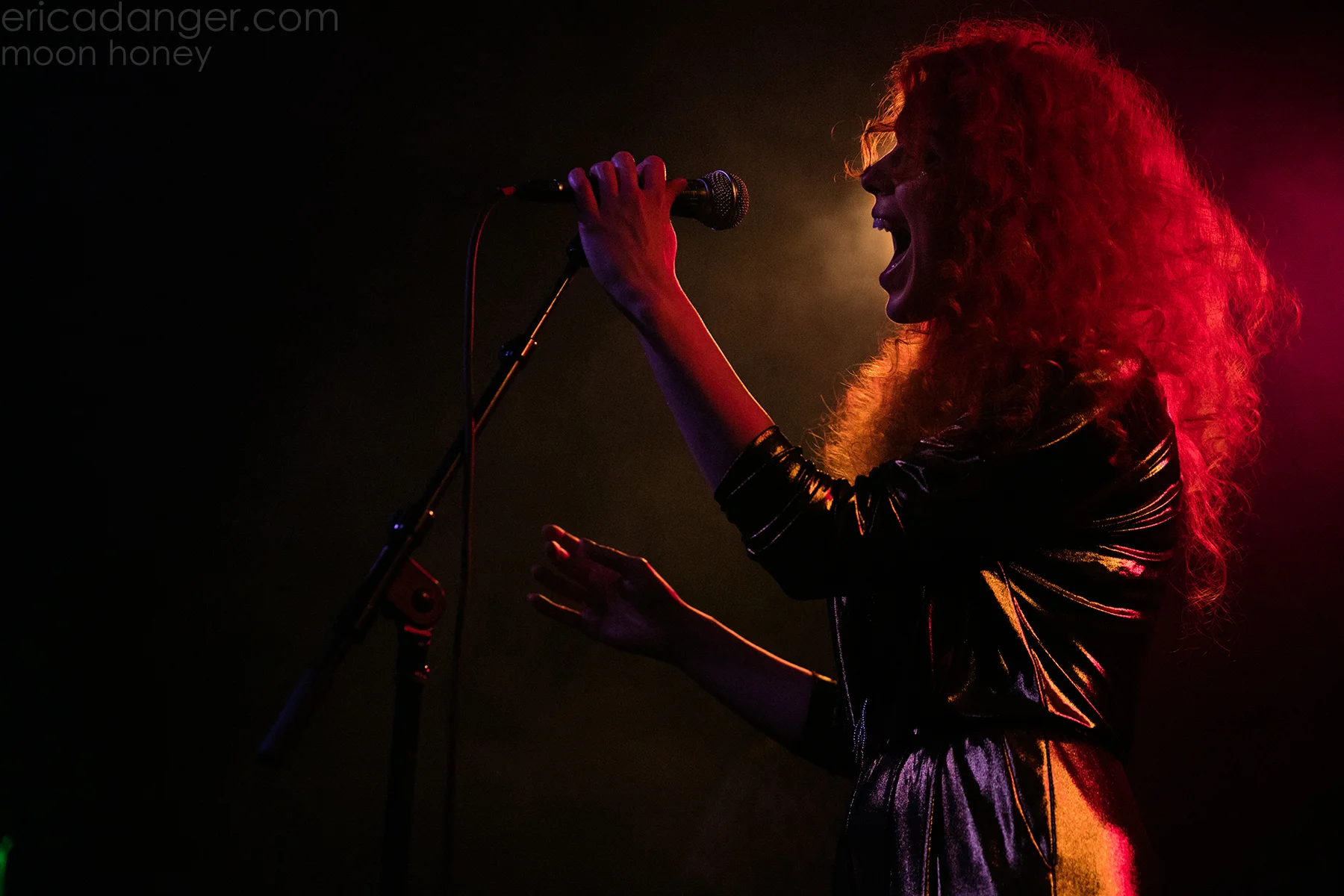 moonhoney1.jpg