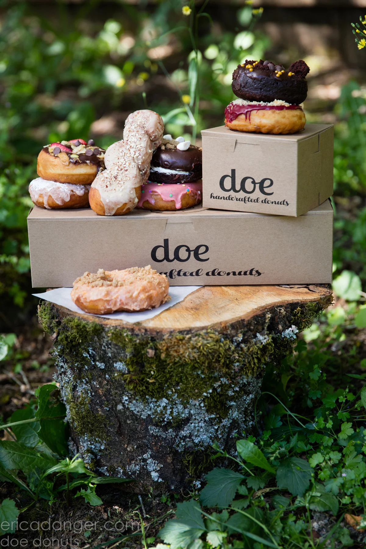 DoeDonuts1.jpg