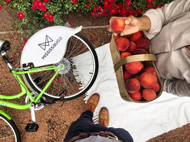 CAPTION: Bike rides, good friends, picnics in the park and farmer's market peaches. All the ingredients for a wonderful summer afternoon.