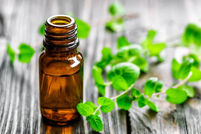 mint-oil.jpg