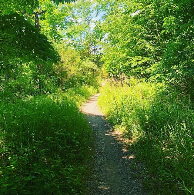 Trail run : Captured my run today bc @megatta has inspired me so much, even on days I don&rsquo;t feel like it, I see her and that&rsquo;s motivation for me to get myself moving! Maybe we too can help one another and inspire by sharing. It&rsquo;s no