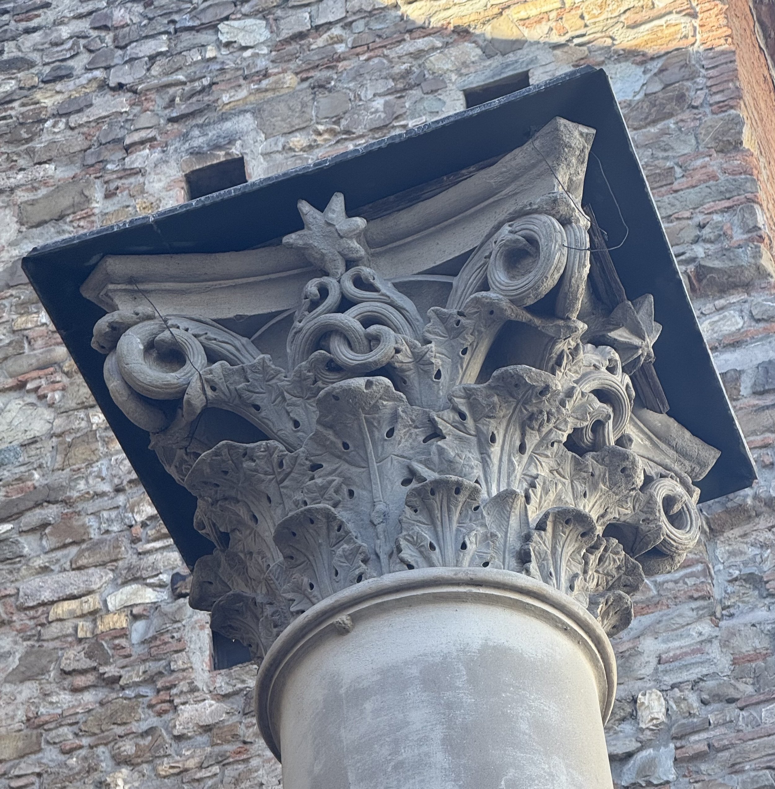 IMG_7501.jpeg