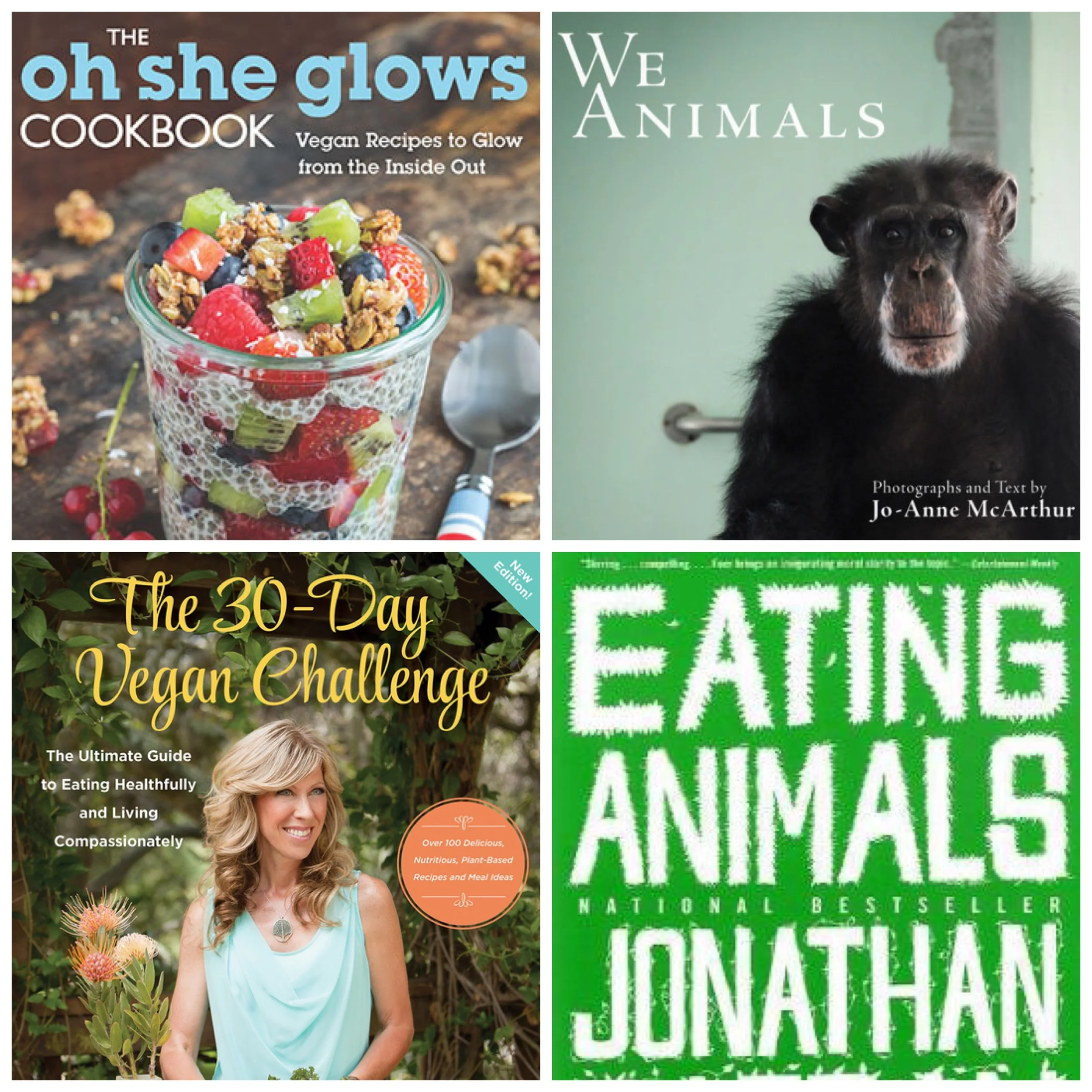 YOUR VEGAN HOLIDAY GIFT GUIDE PART III: LITERATURE