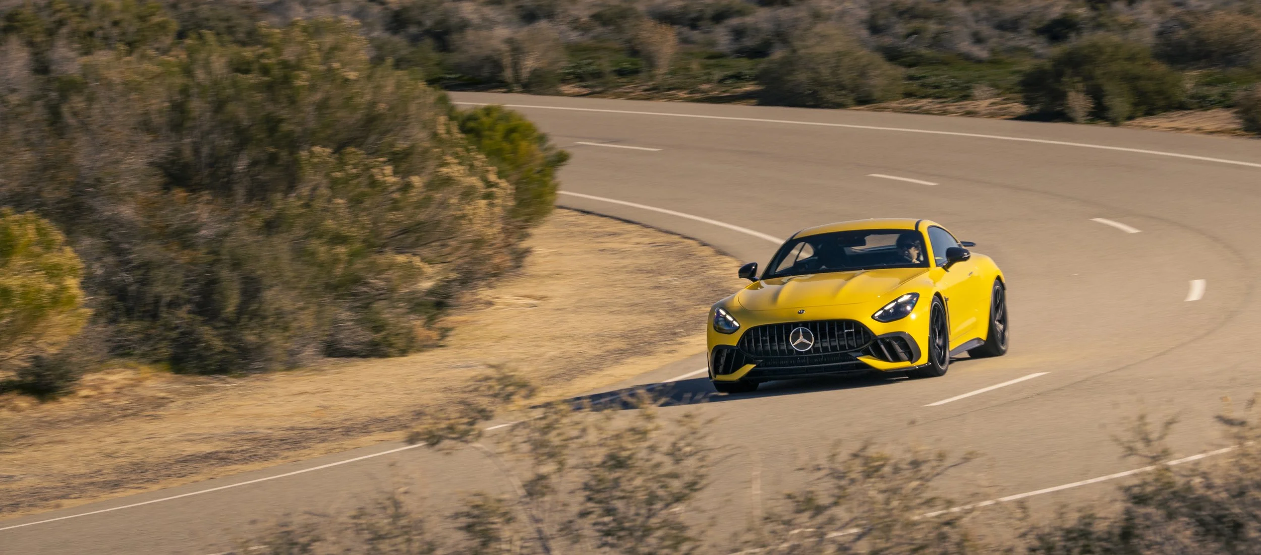 02AMG_GTR_Pro.jpg