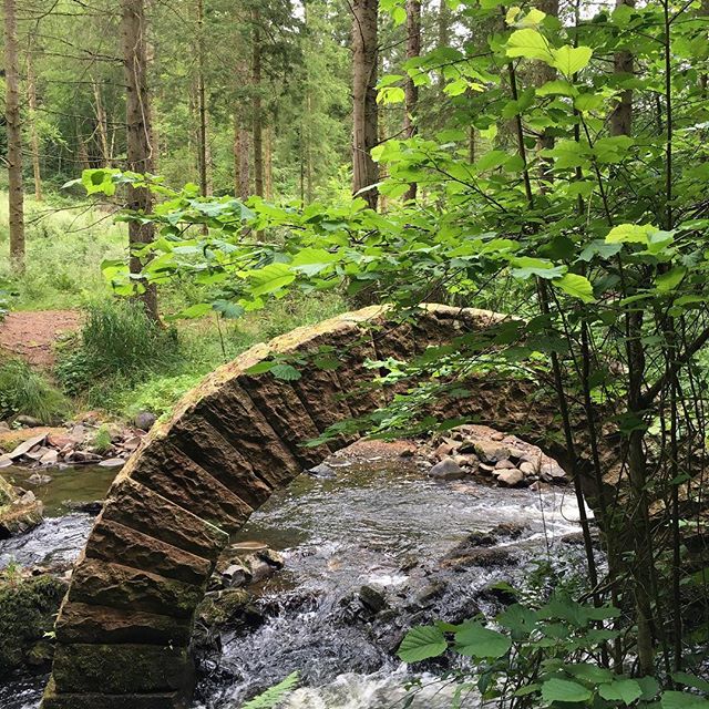 #andygoldsworthy