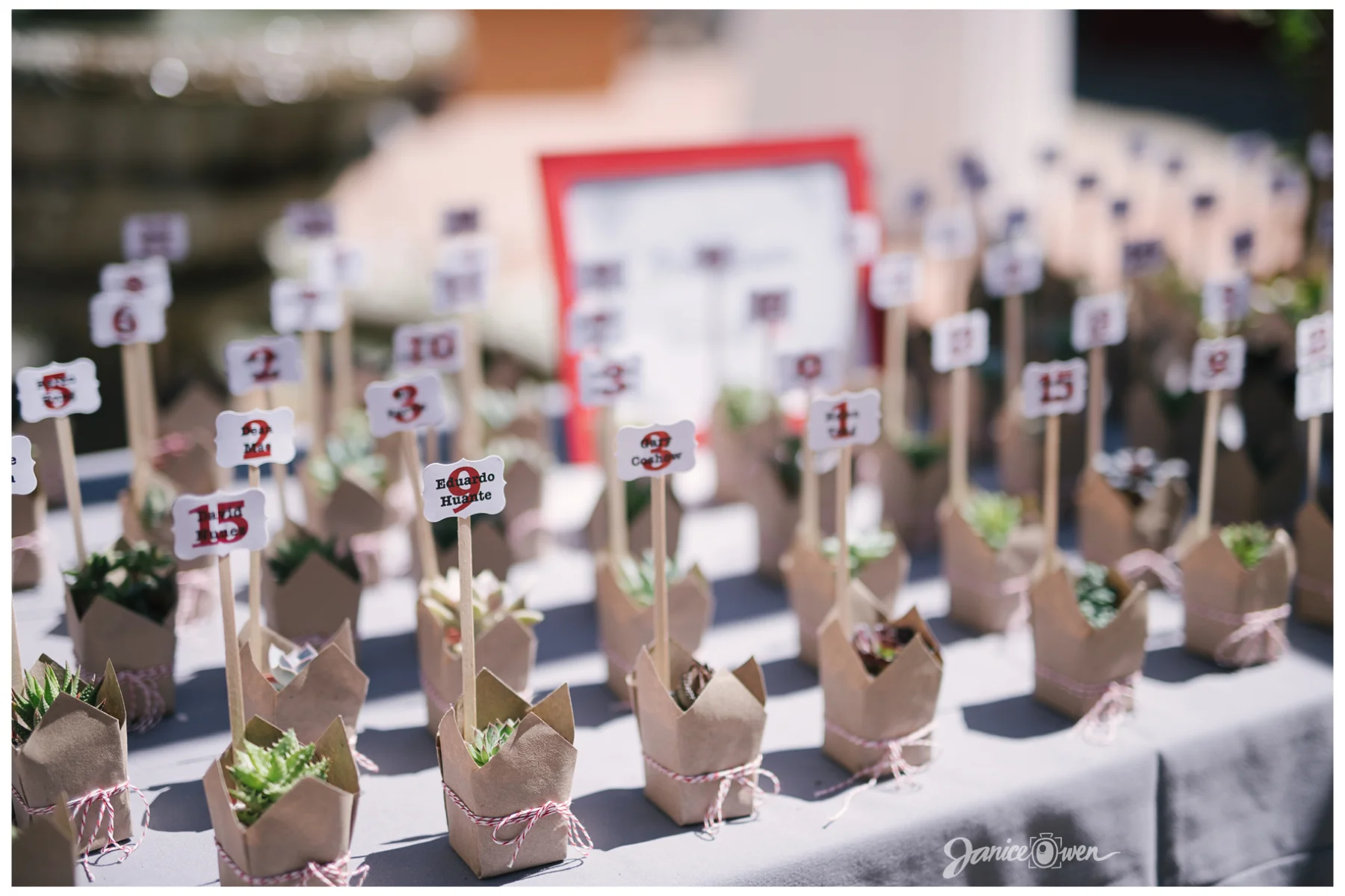 janiceowenphotography54.jpg