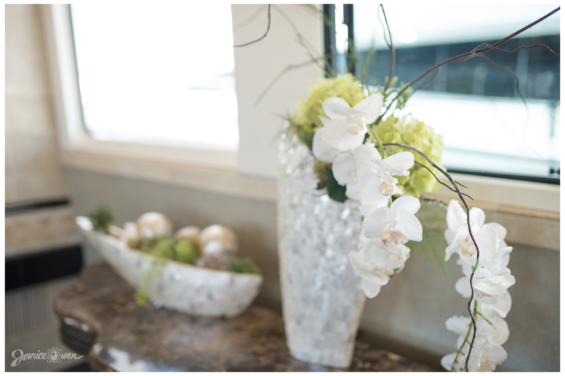 janiceowenphotography66.jpg