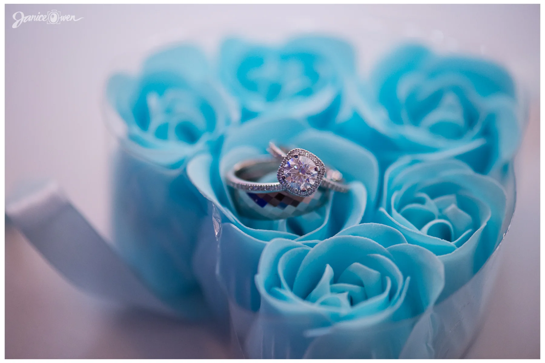 janiceowenphotography.jpg