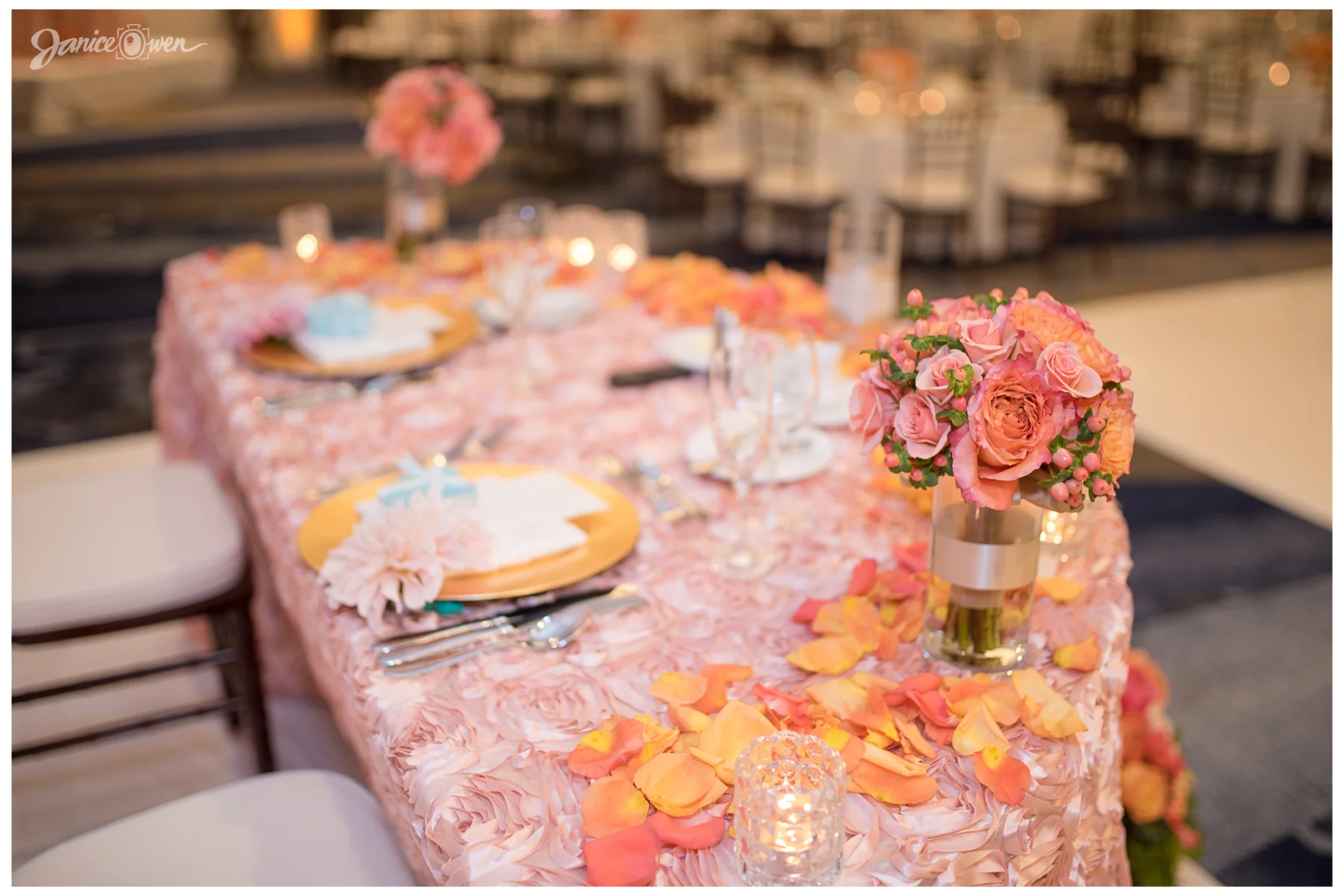 janiceowenphotography45.jpg