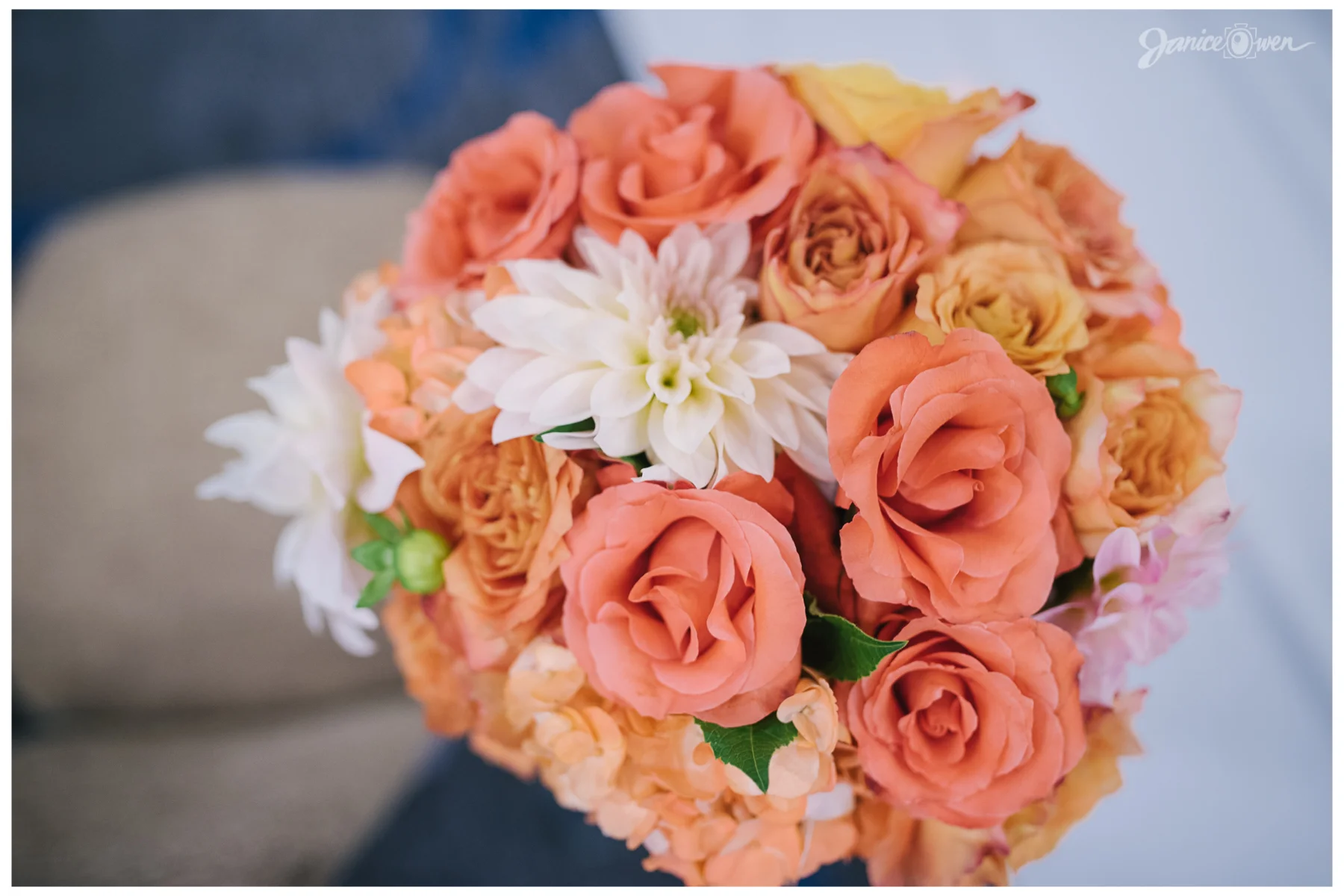 janiceowenphotography56.jpg