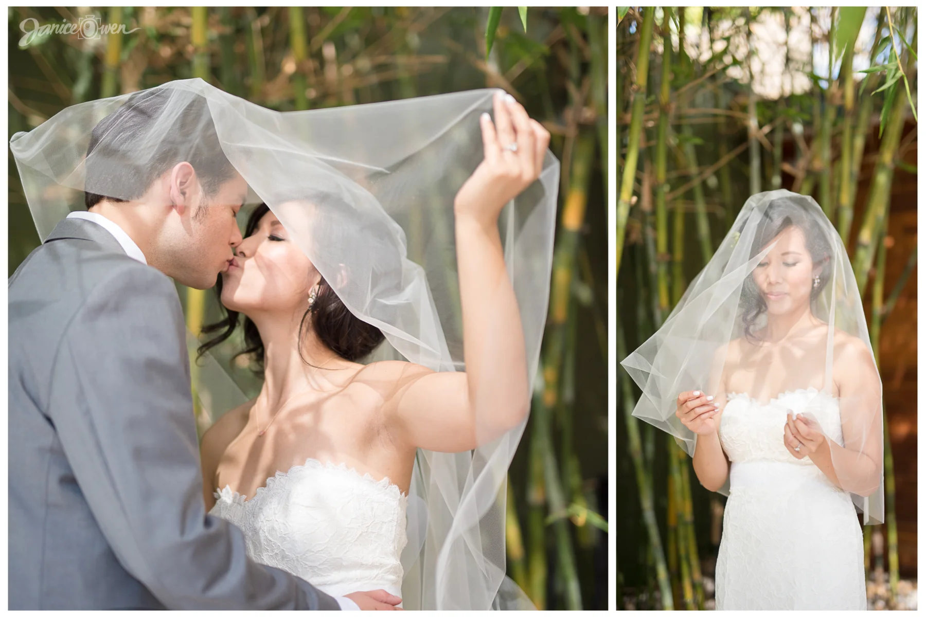 janiceowenphotography 34.jpg