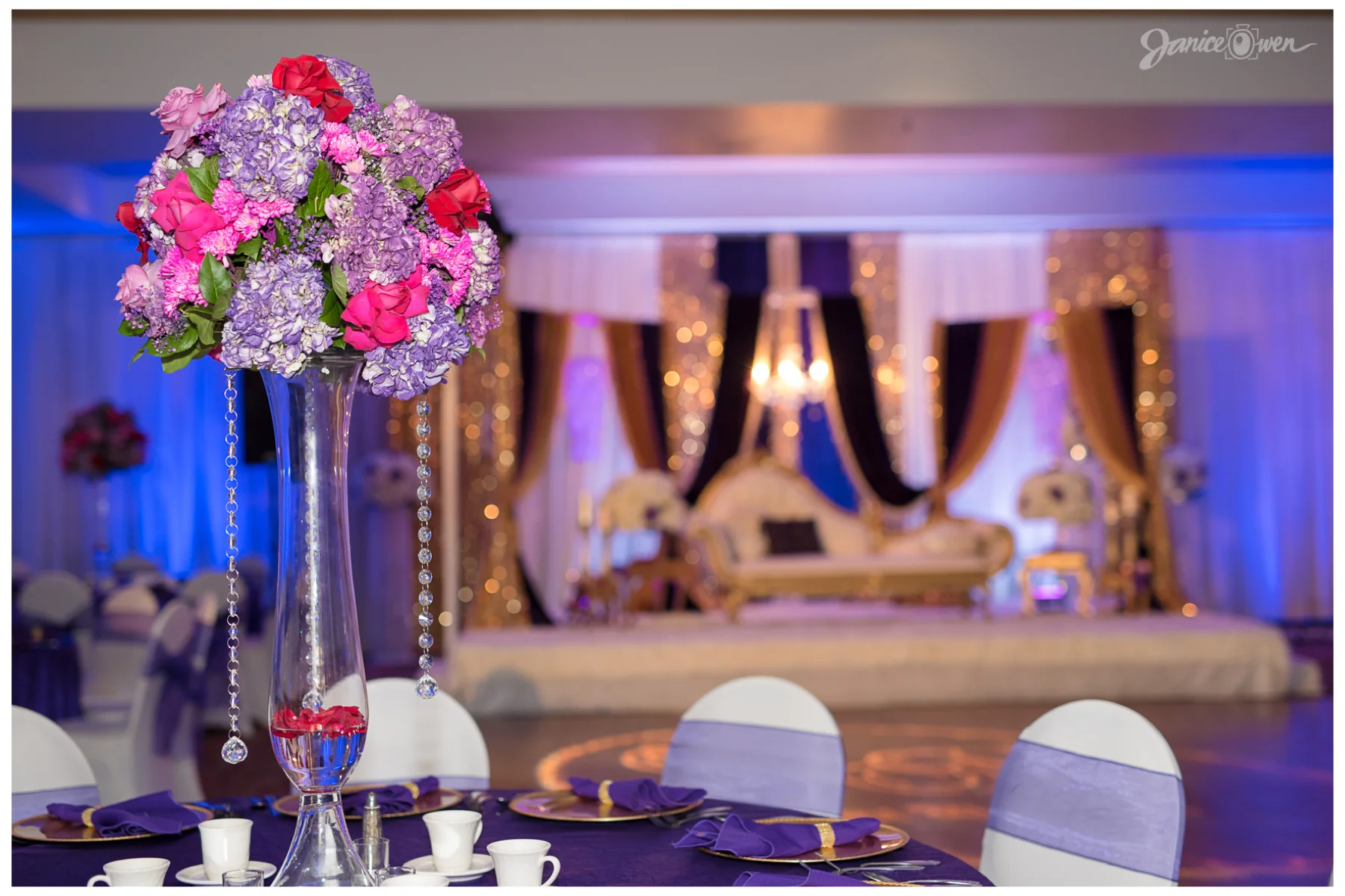 janiceowenphotography21.jpg