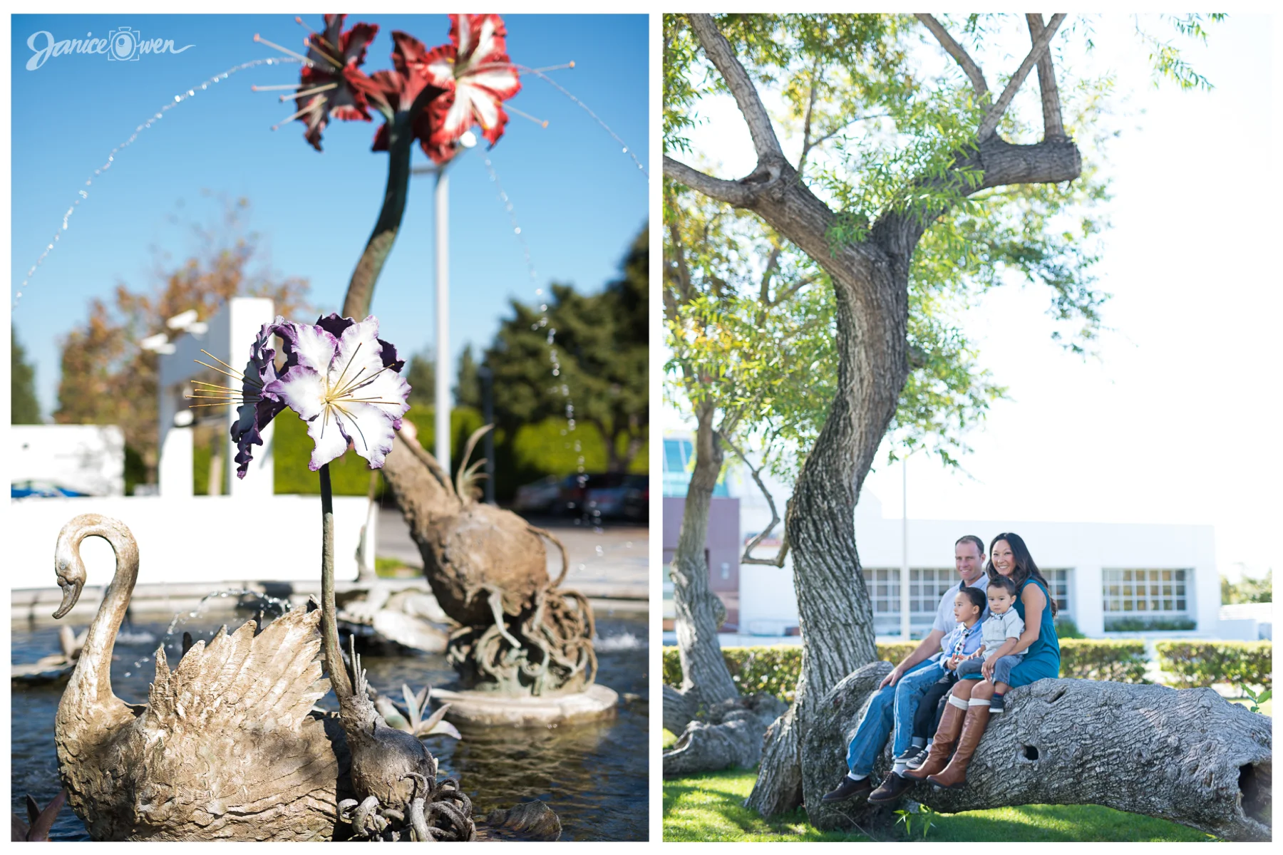 janiceowenphotography44.jpg
