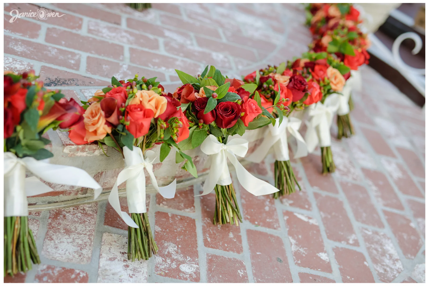 janiceowenphotography35.jpg