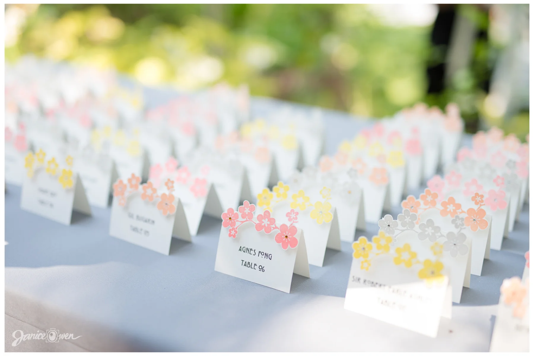 janiceowenphotography32.jpg