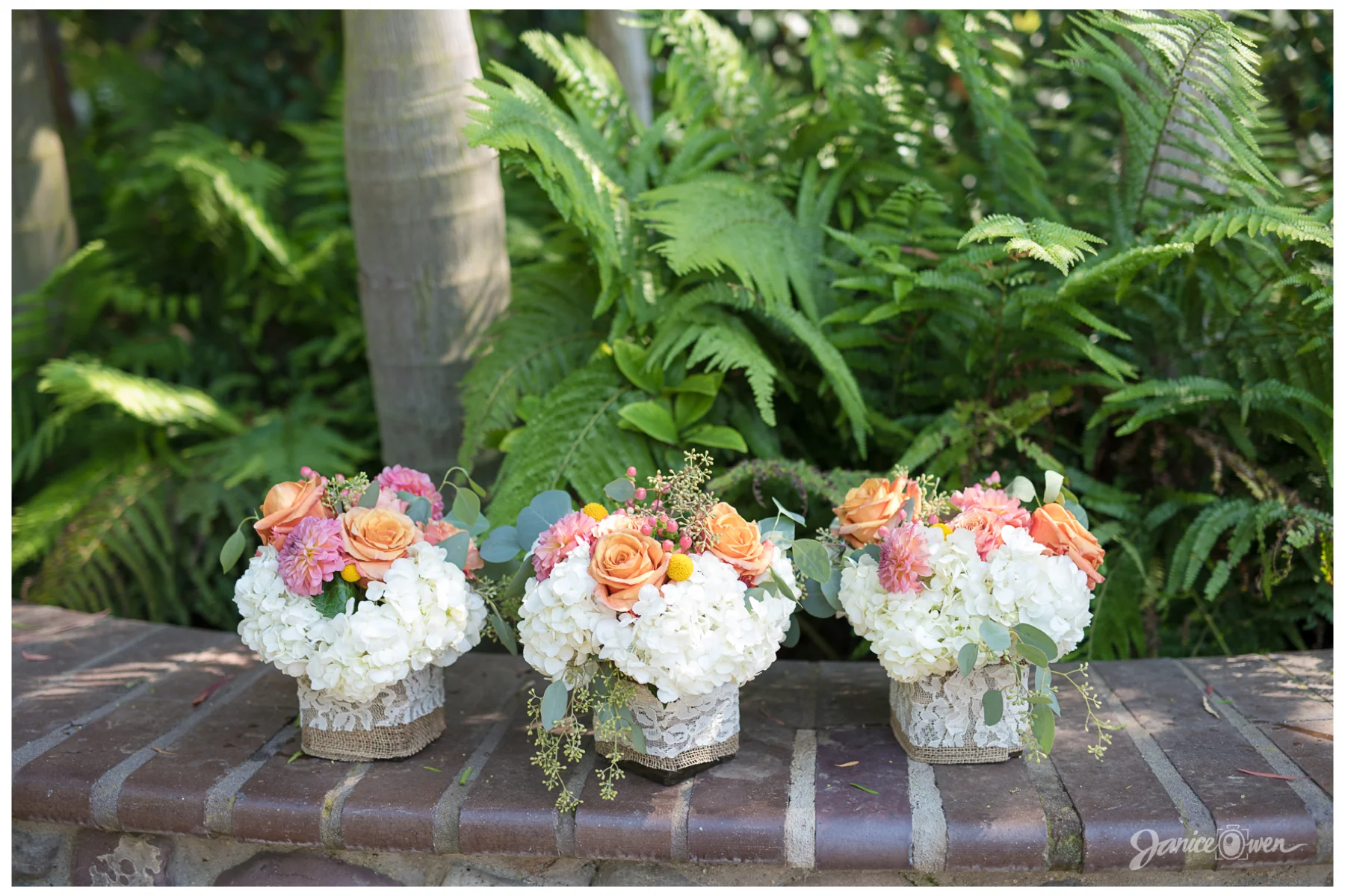 janiceowenphotography31.jpg