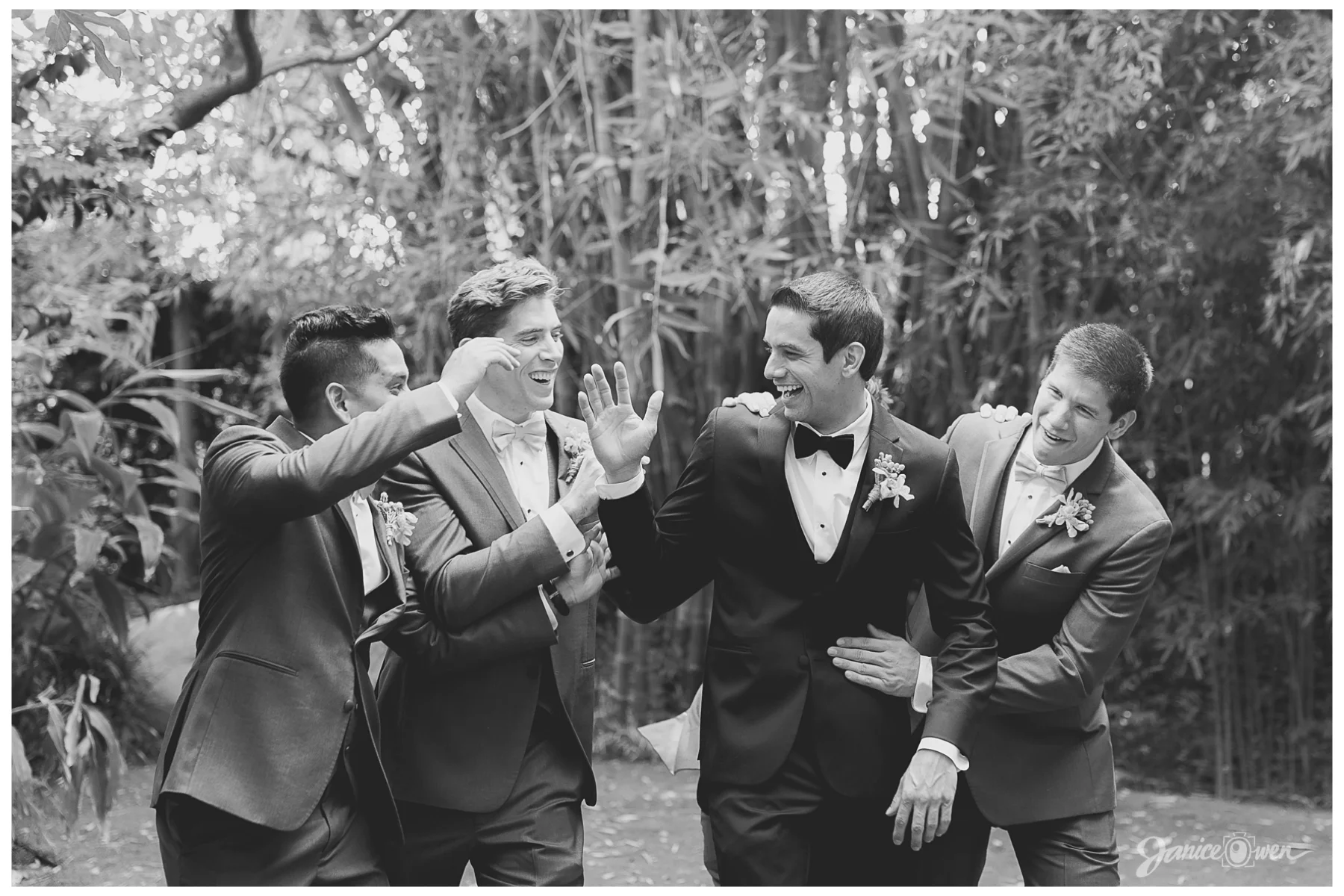 janiceowenphotography46.jpg