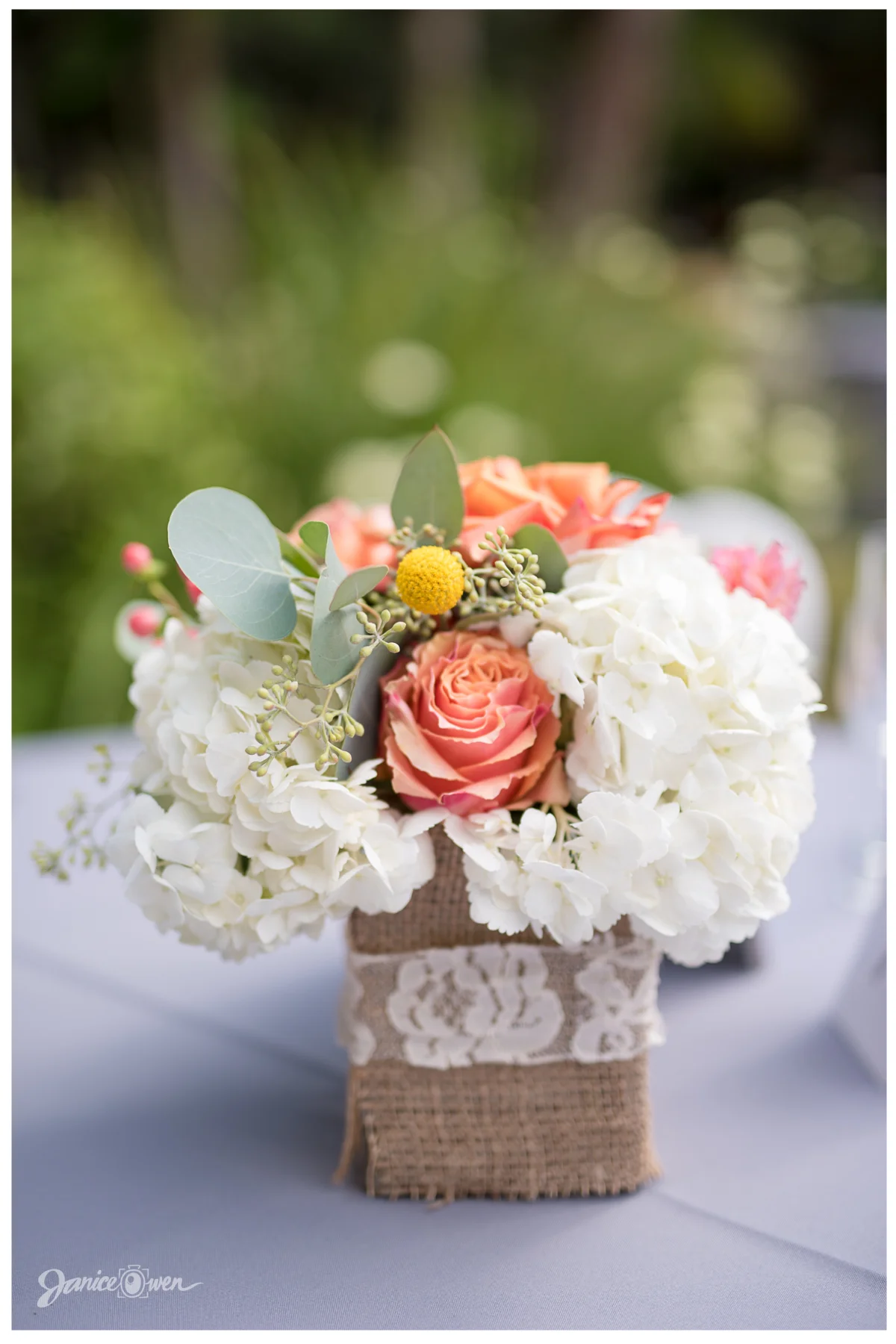 janiceowenphotography87.jpg