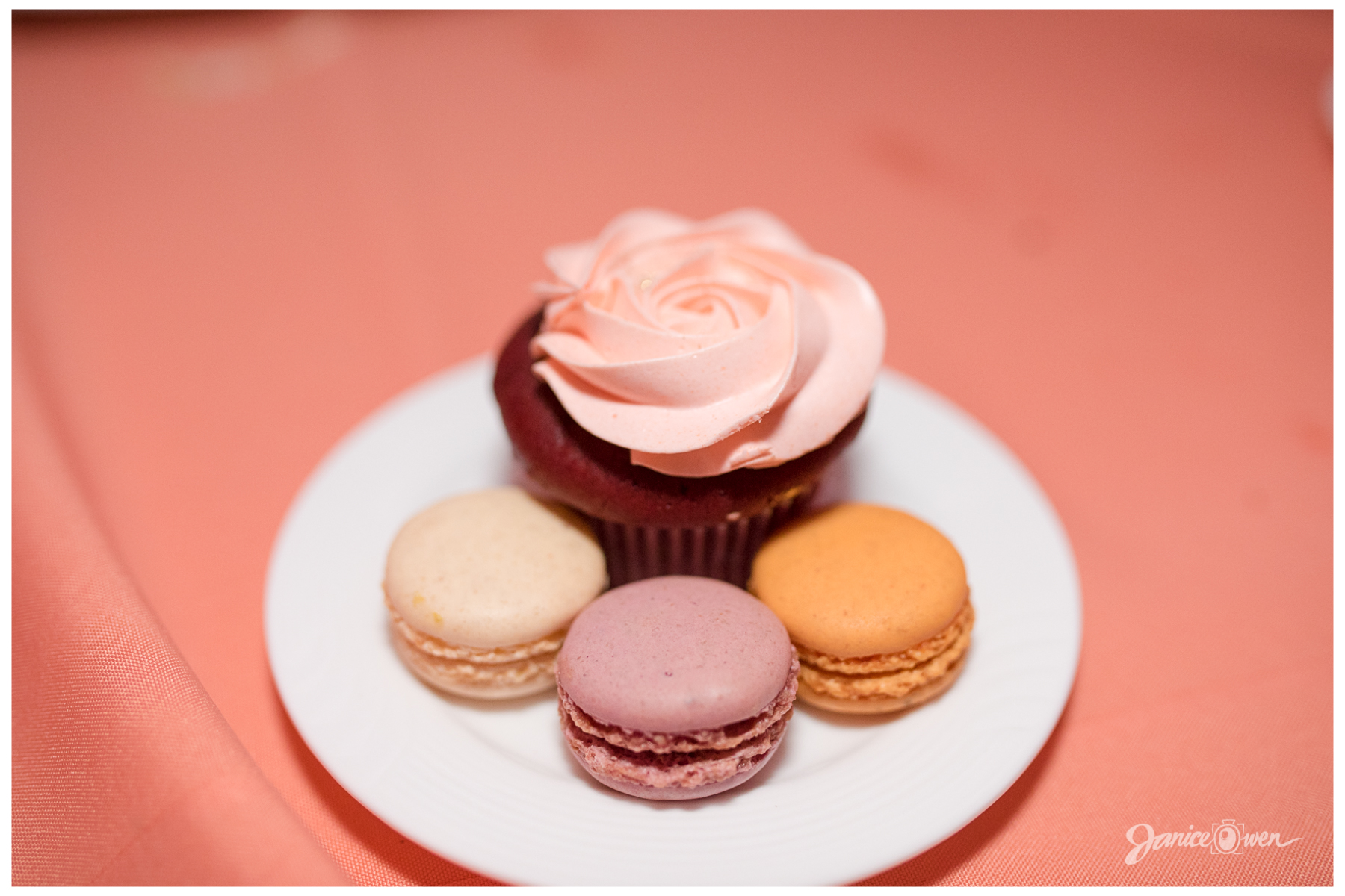 janiceowenphotography66.jpg