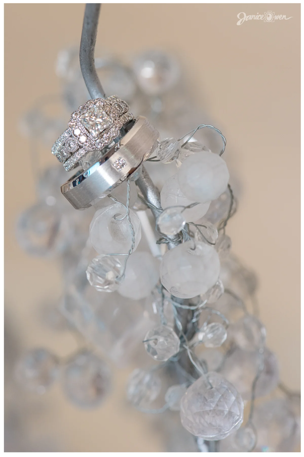 janiceowenphotography104.jpg