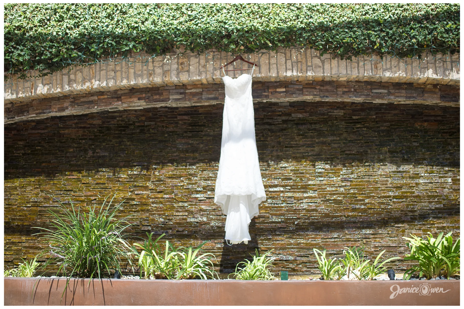 janiceowenphotography8.jpg