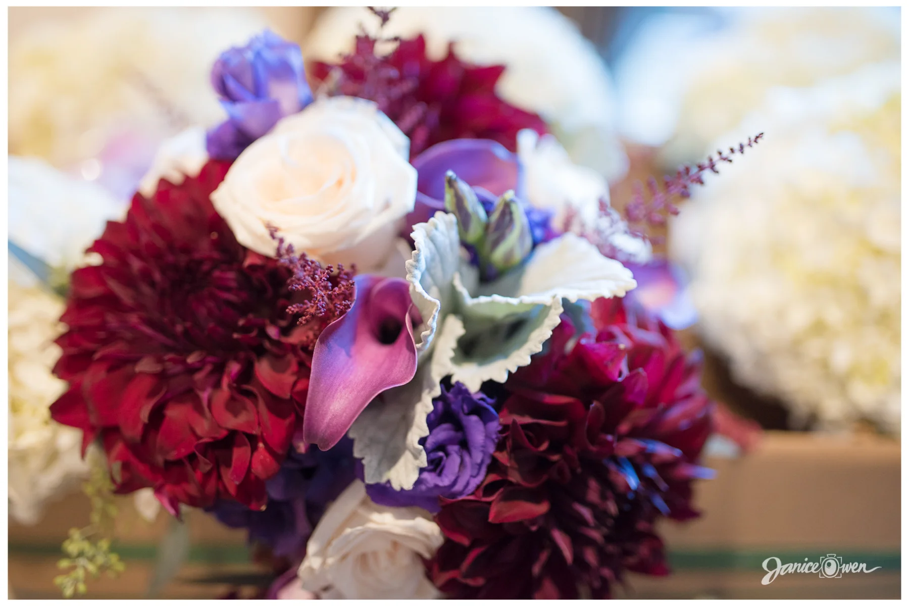 janiceowenphotography21.jpg