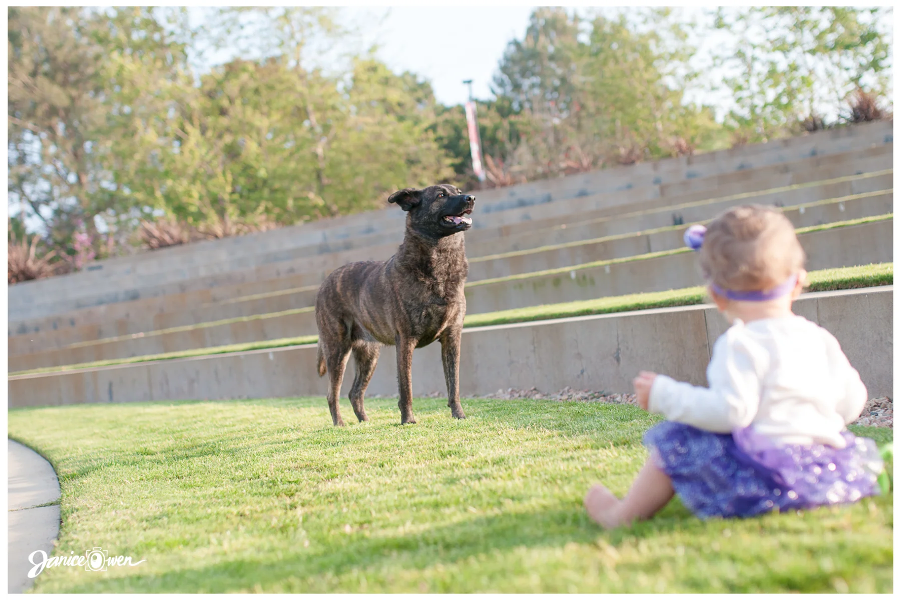 janiceowenphotography14.jpg