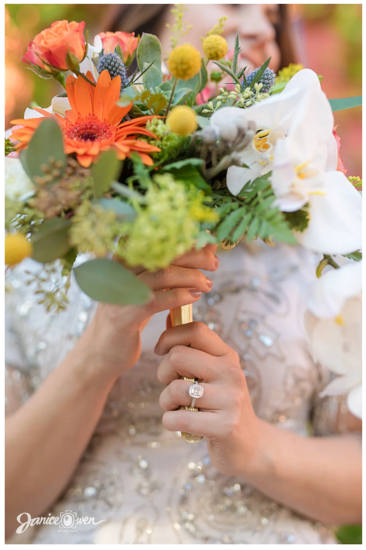 janiceowenphotography1.jpg