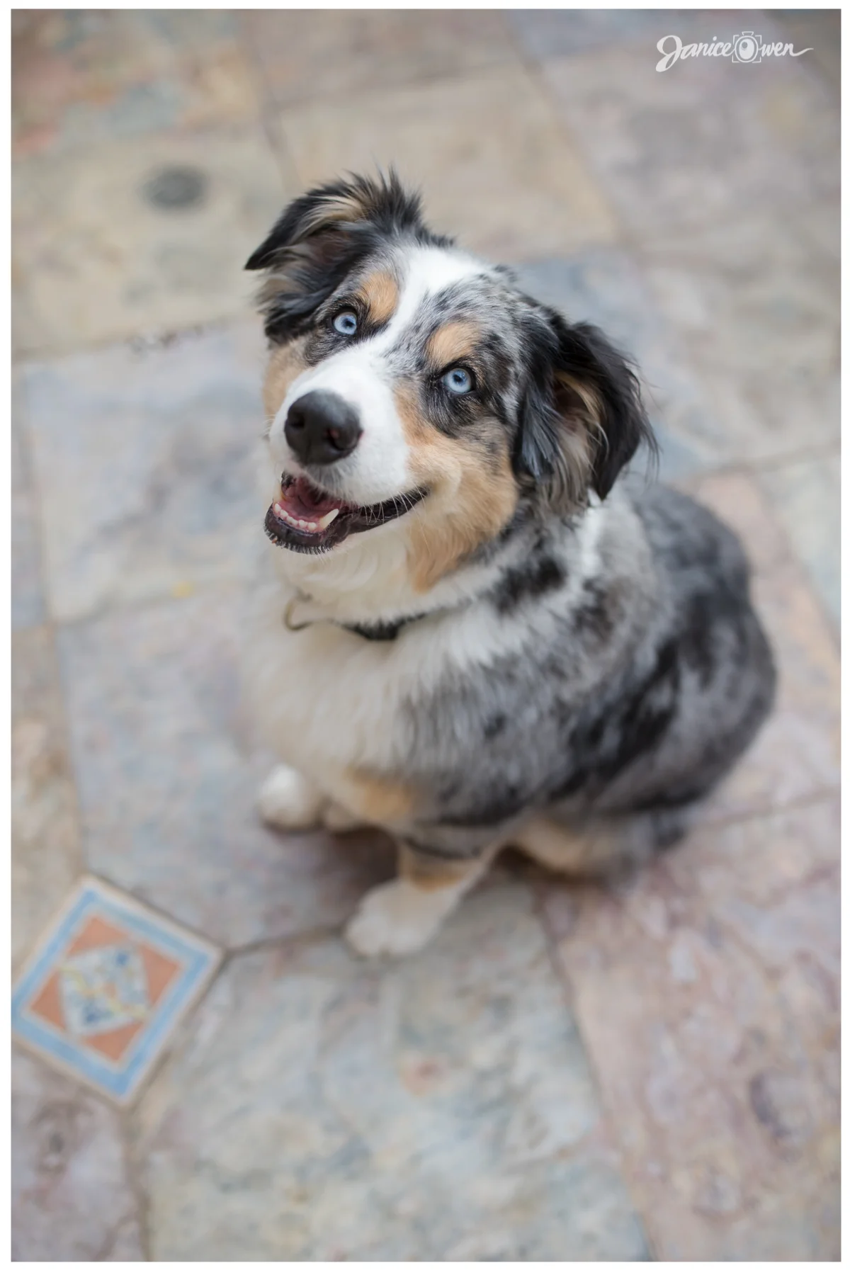 janiceowenphotography3.jpg