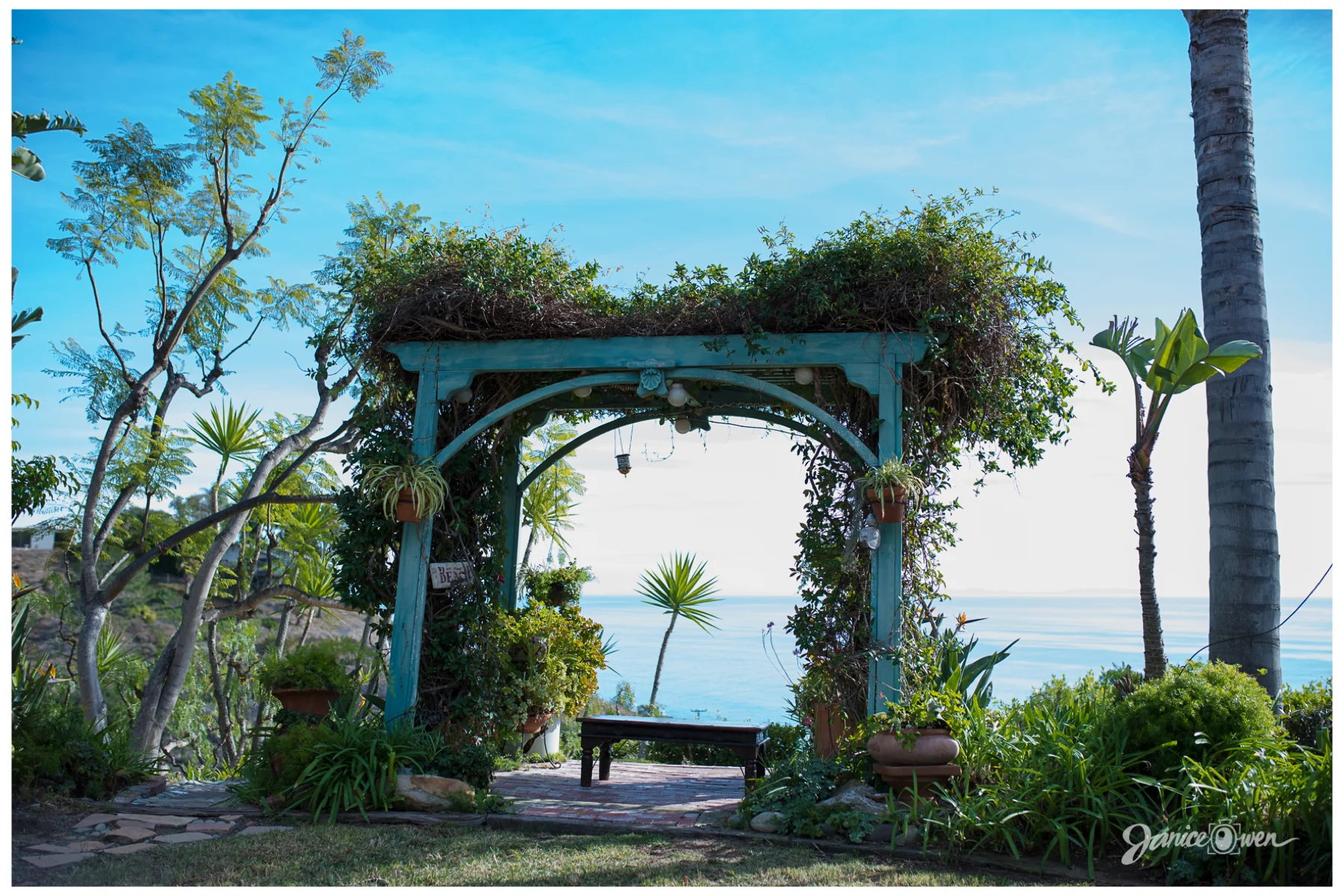 janiceowenphotography15.jpg