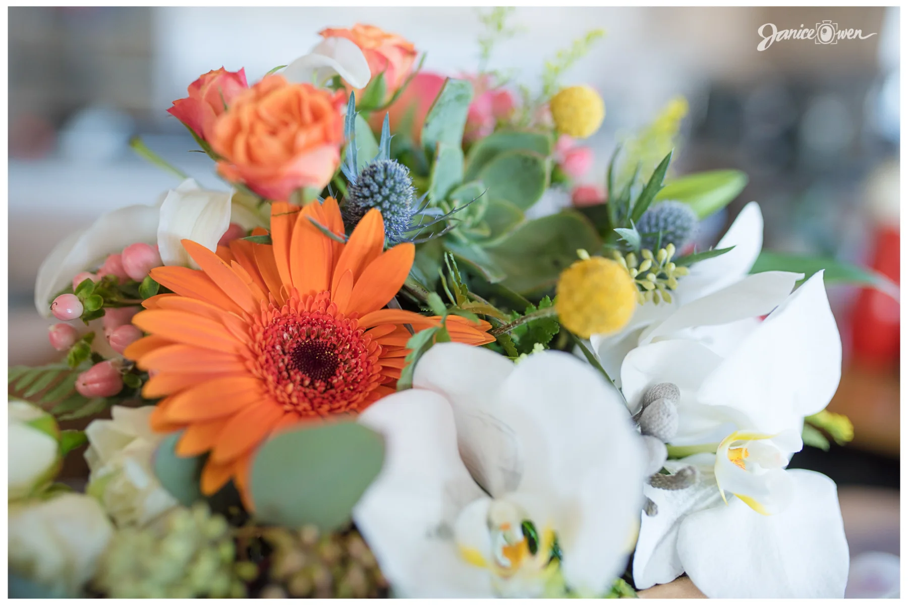 janiceowenphotography27.jpg
