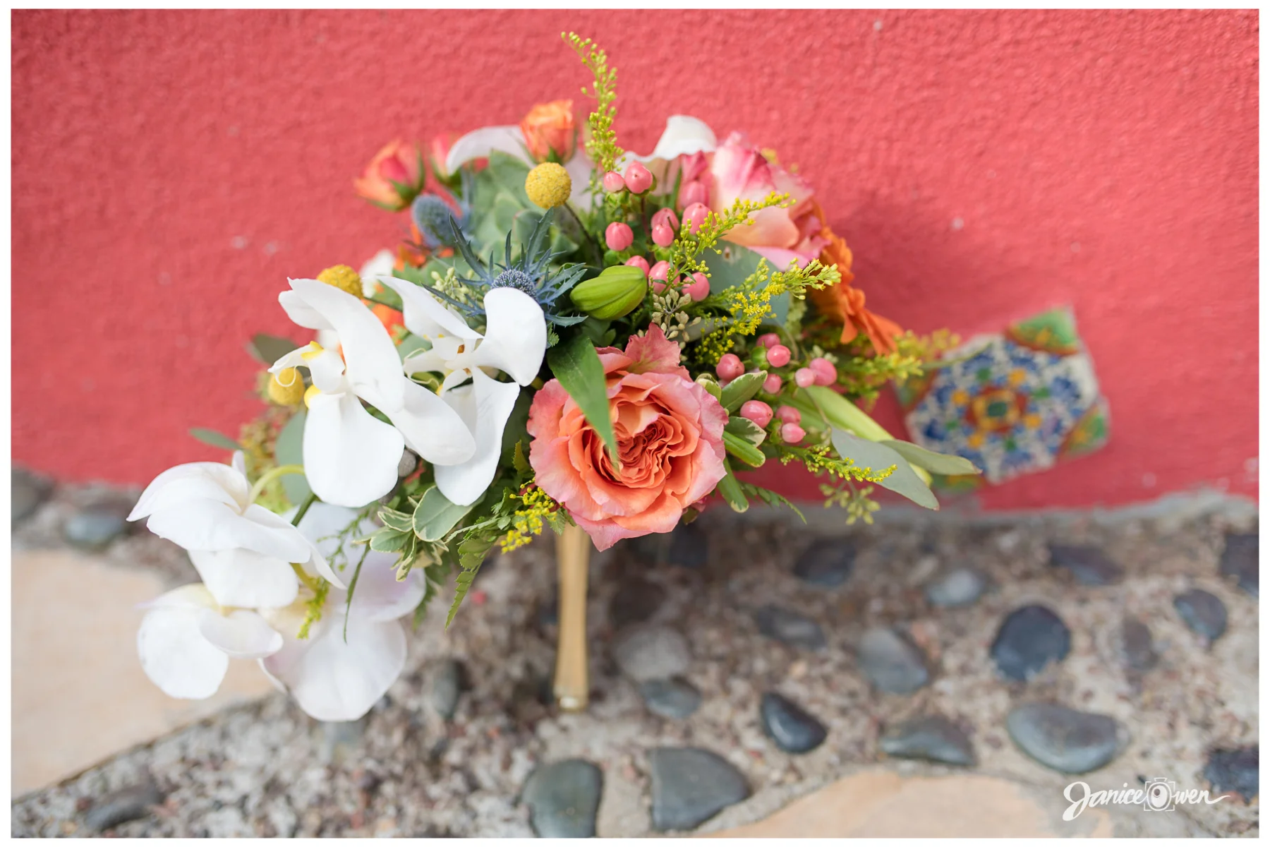 janiceowenphotography37.jpg