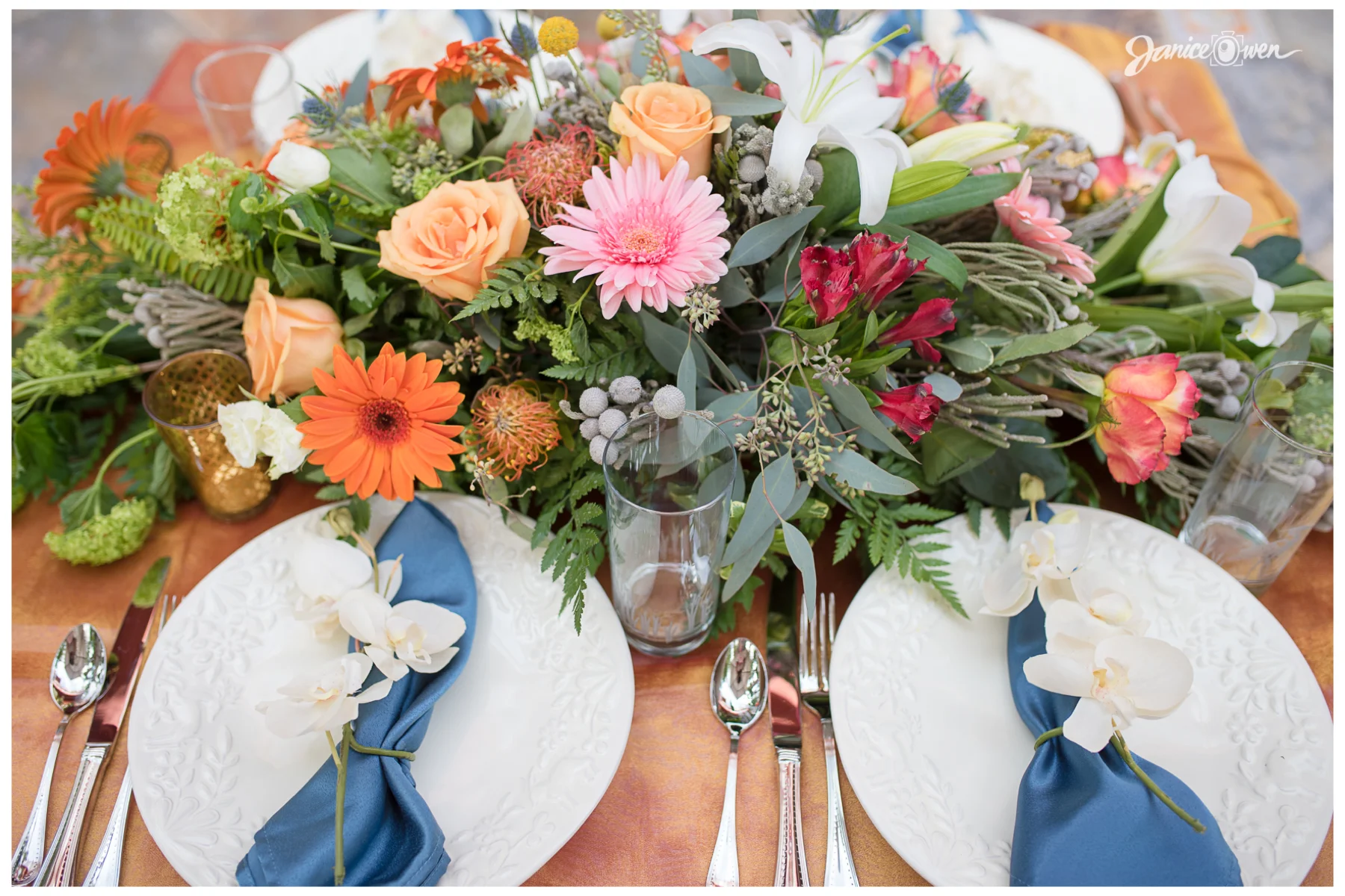 janiceowenphotography39.jpg
