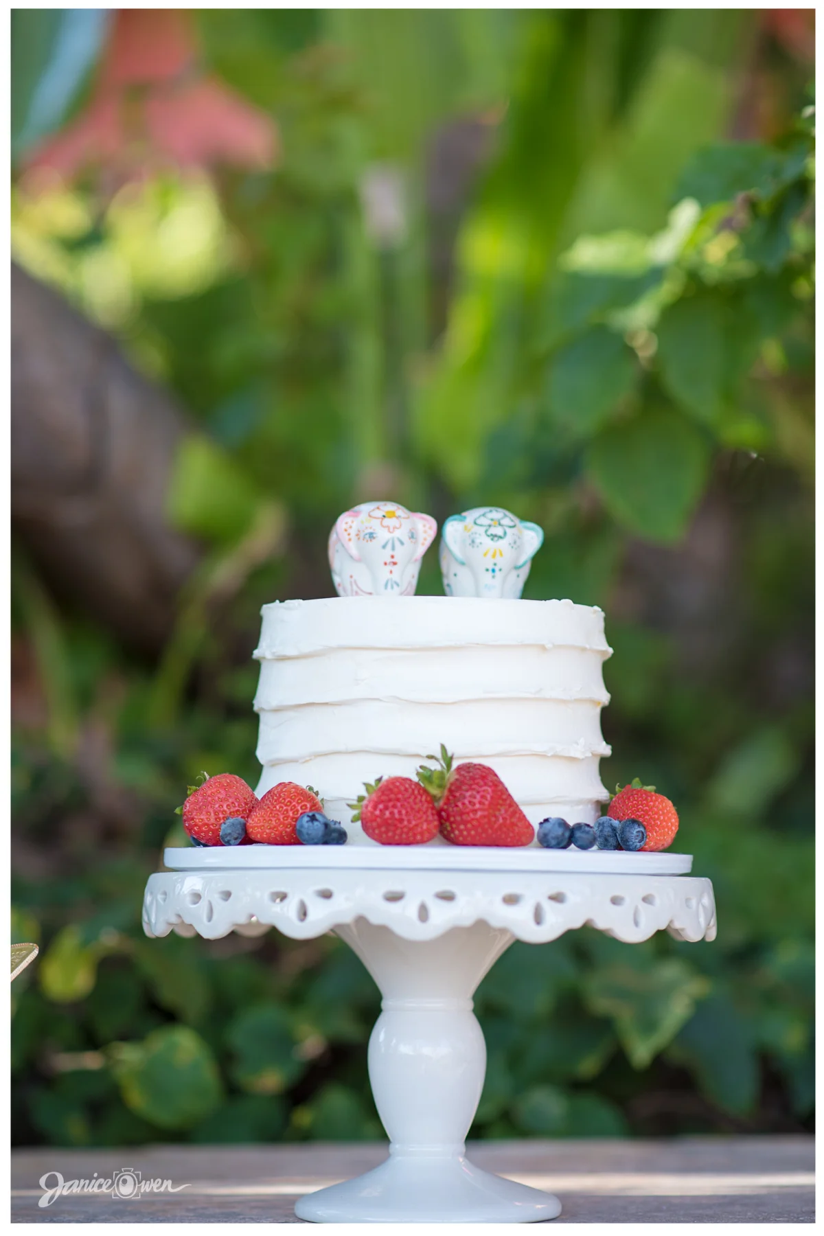 janiceowenphotography61.jpg