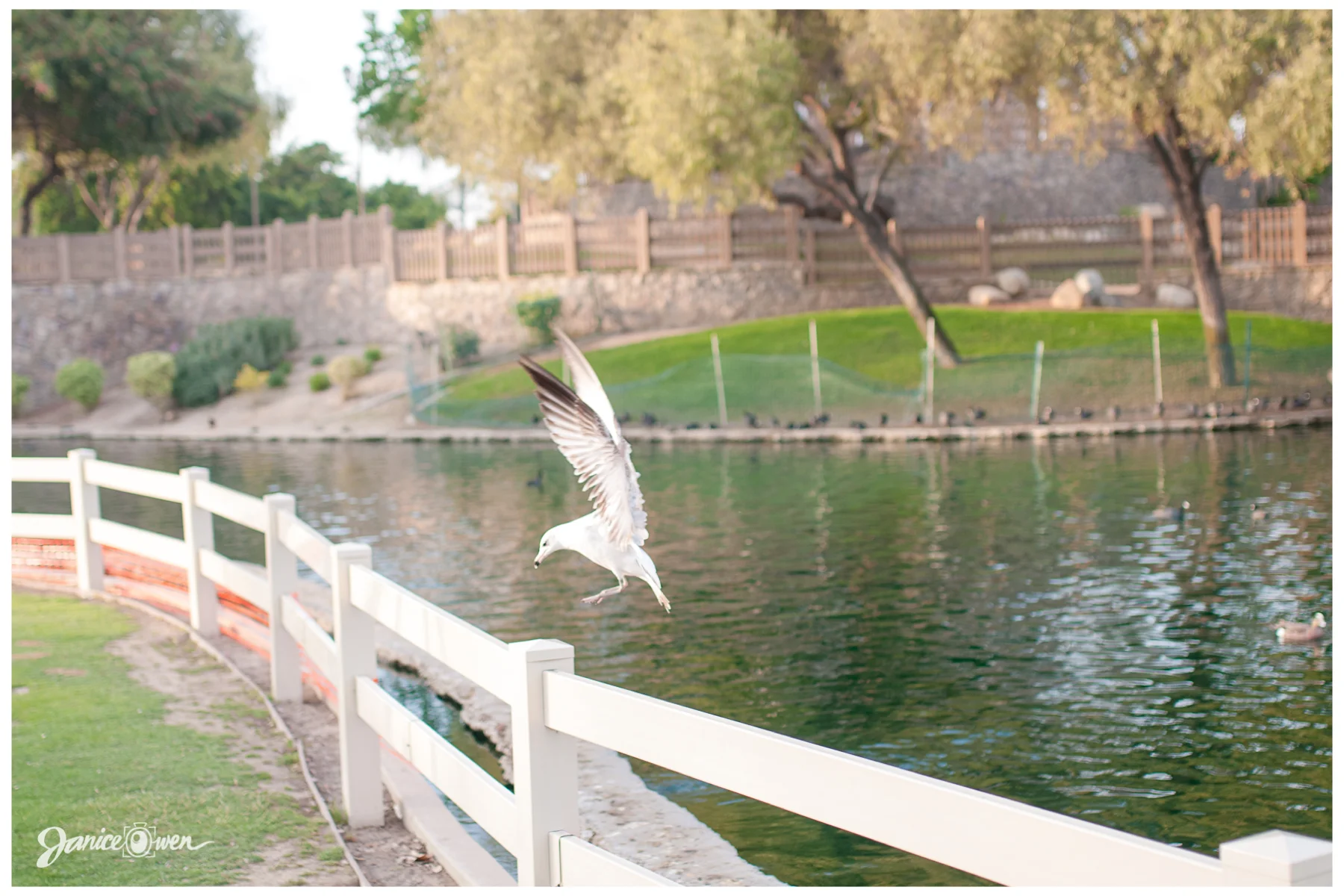 janiceowenphotography48.jpg