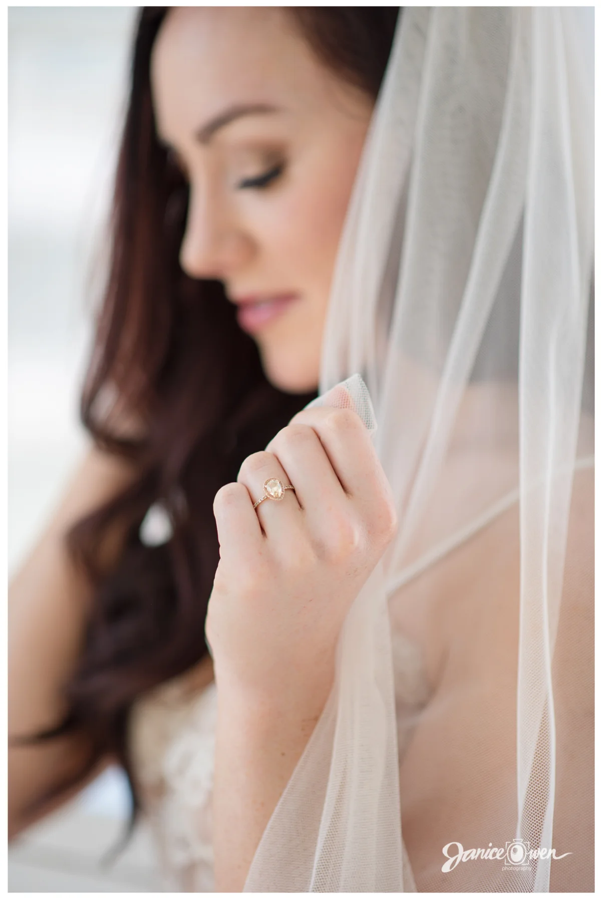 janiceowenphotography7.jpg