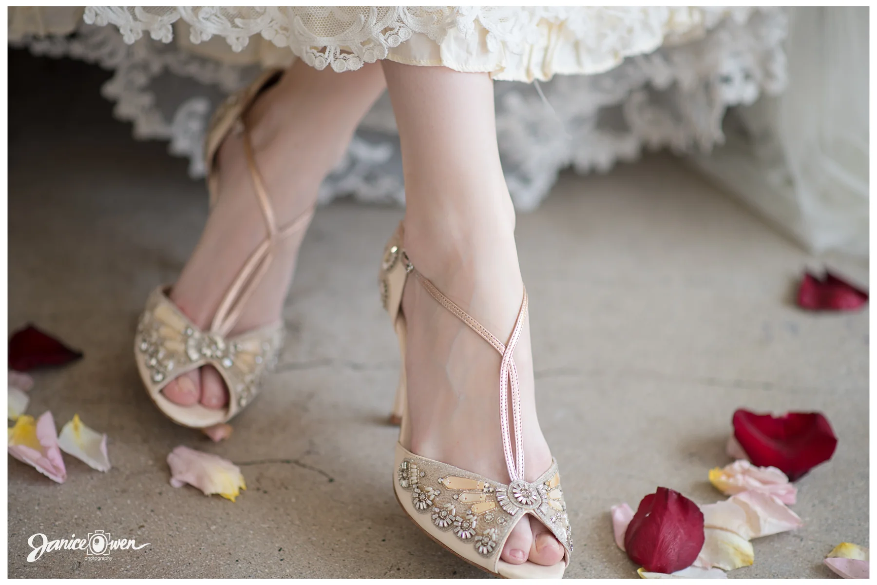 janiceowenphotography18.jpg