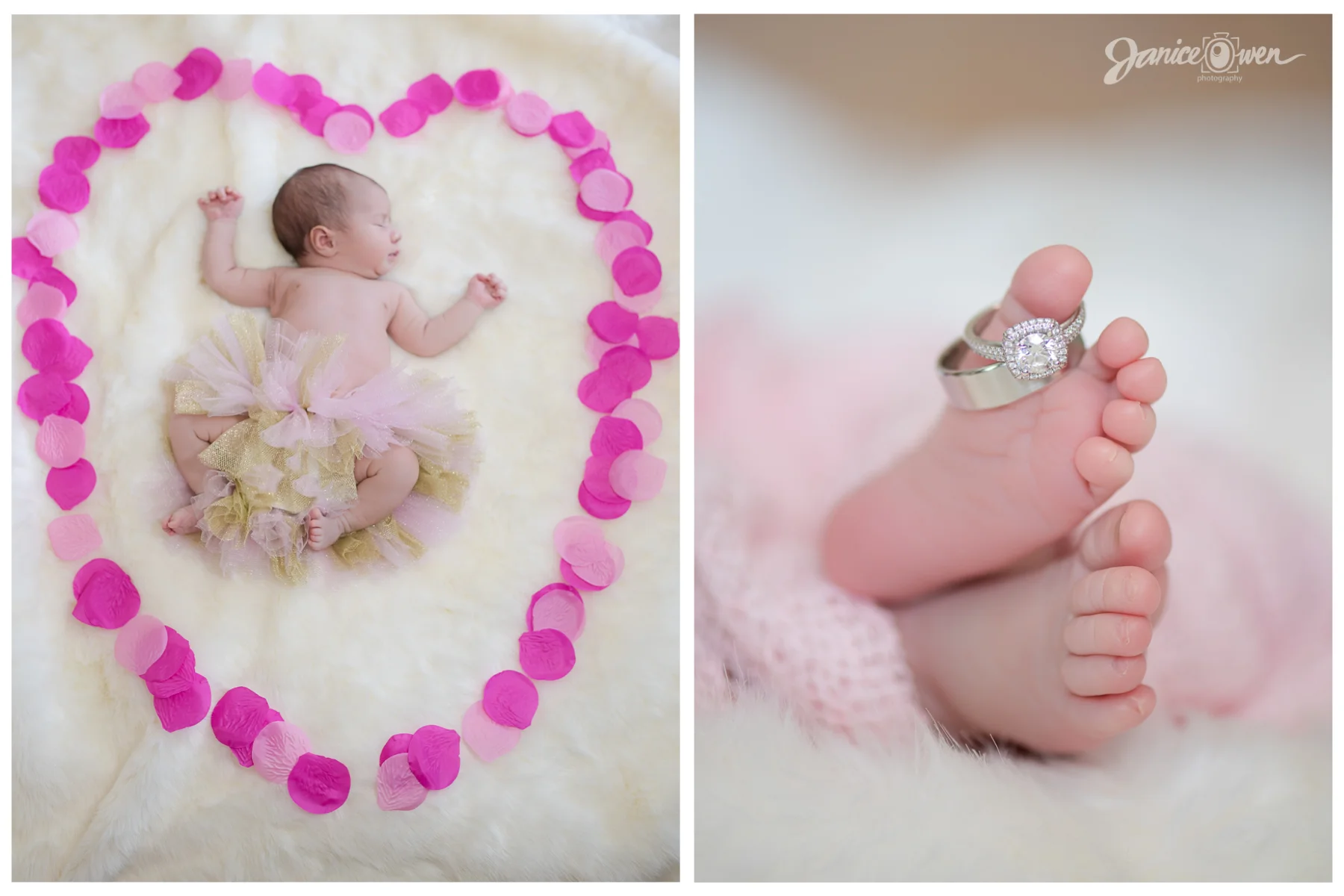 janiceowenphotography1.jpg