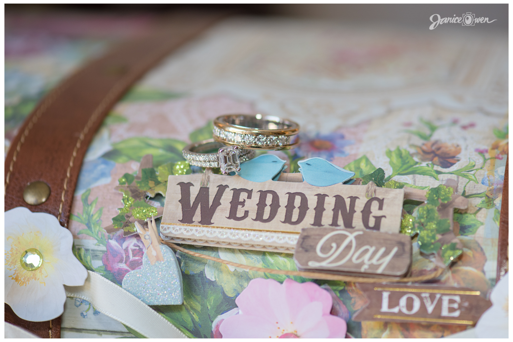 janiceowenphotography14.jpg