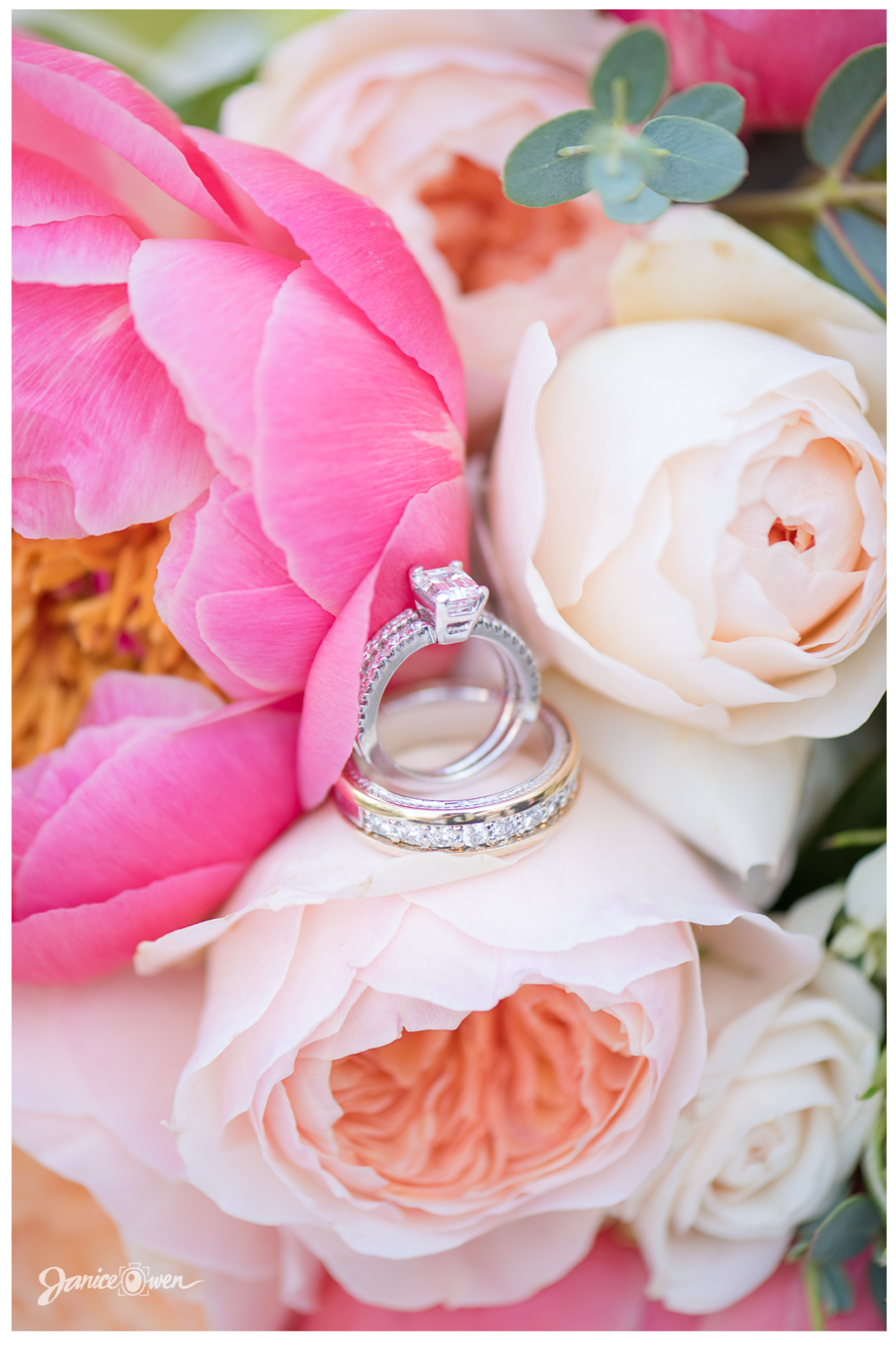 janiceowenphotography98.jpg