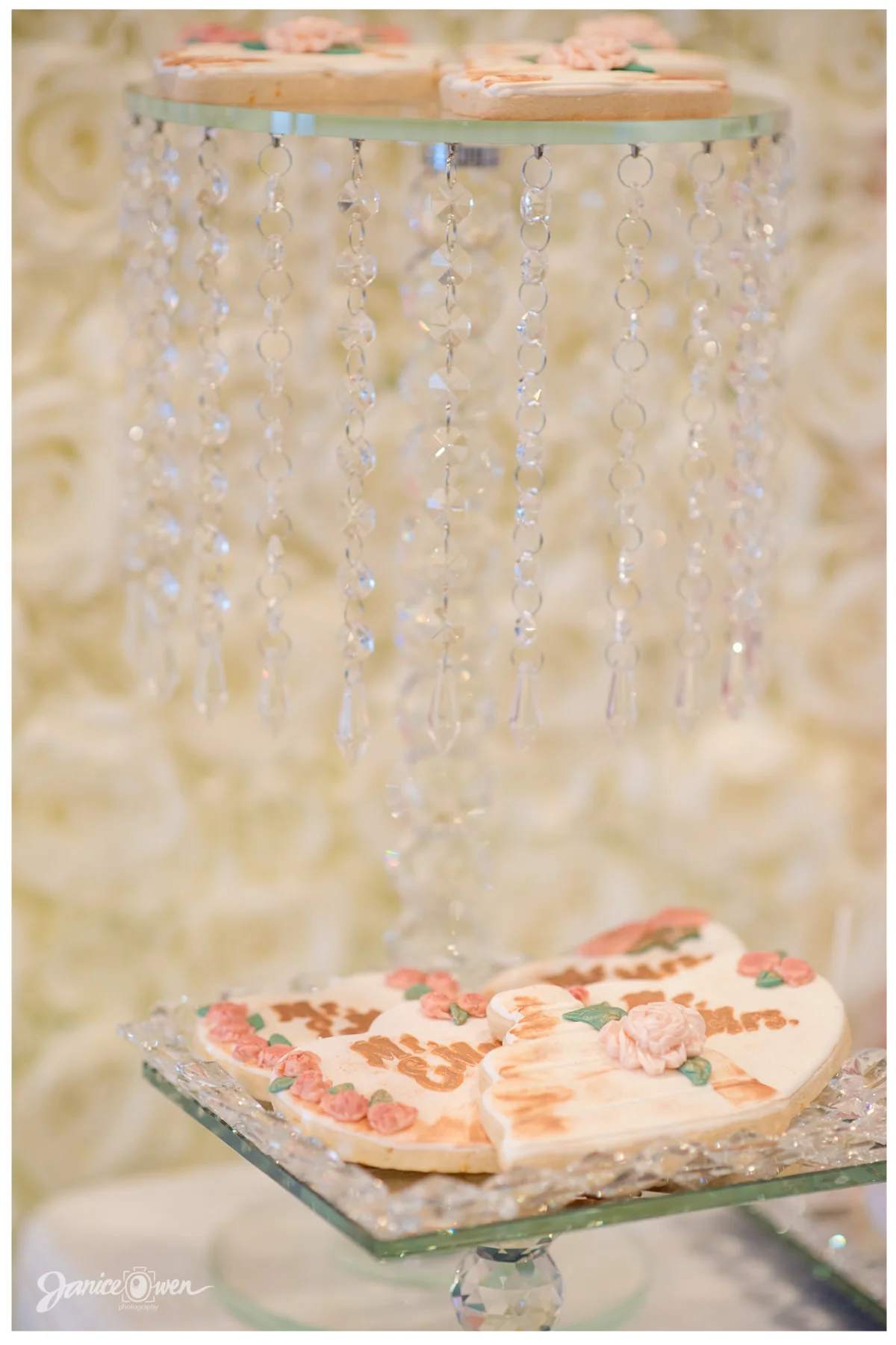 janiceowenphotography_BridalShower 13.jpg