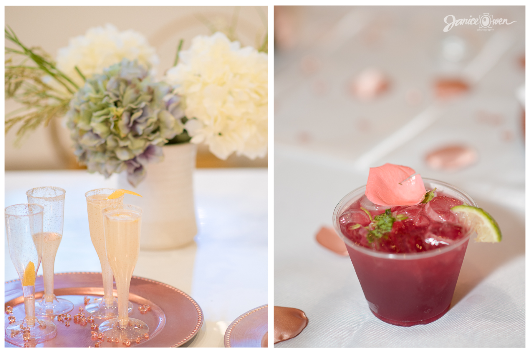 janiceowenphotography_BridalShower 16.jpg