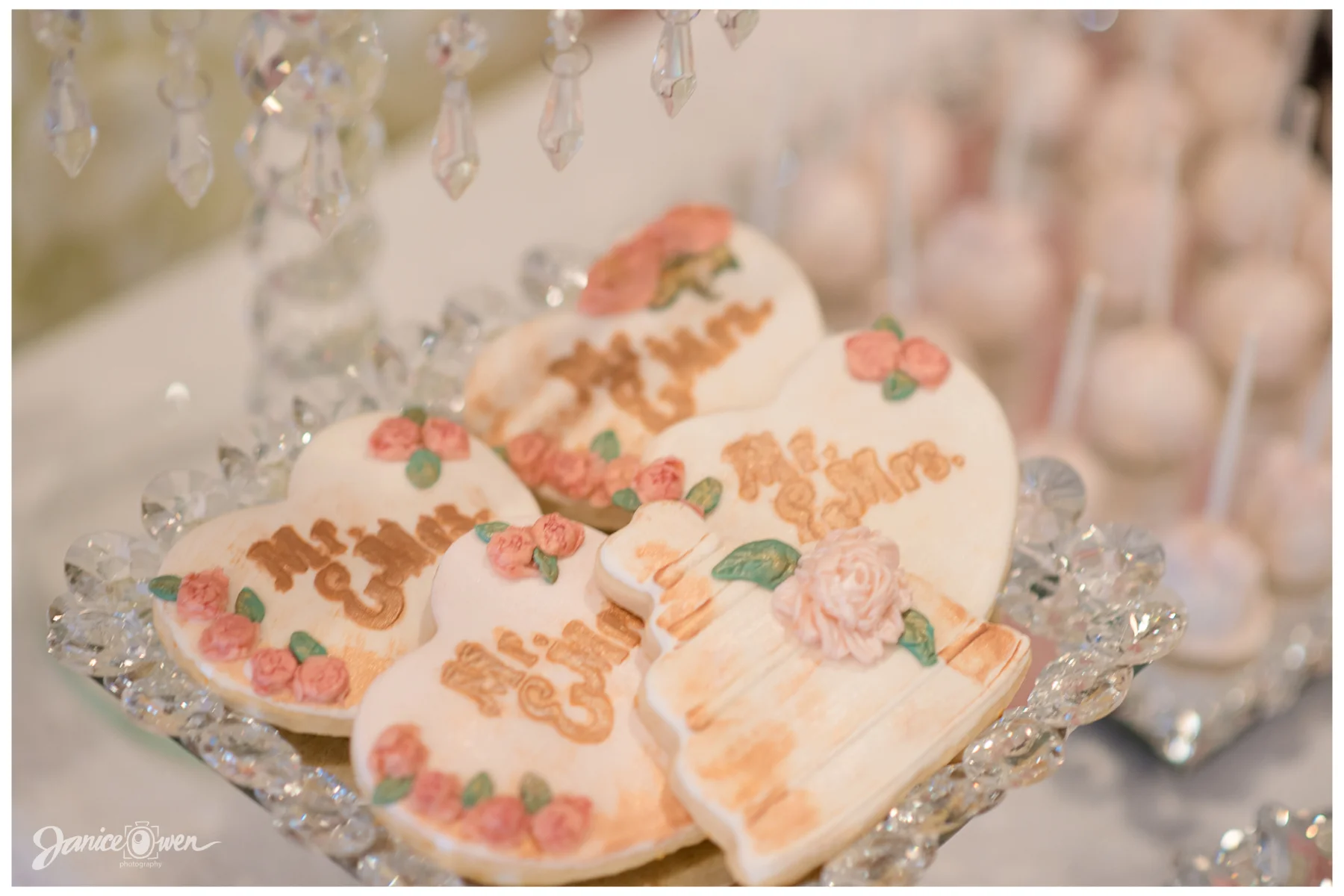 janiceowenphotography_BridalShower 9.jpg