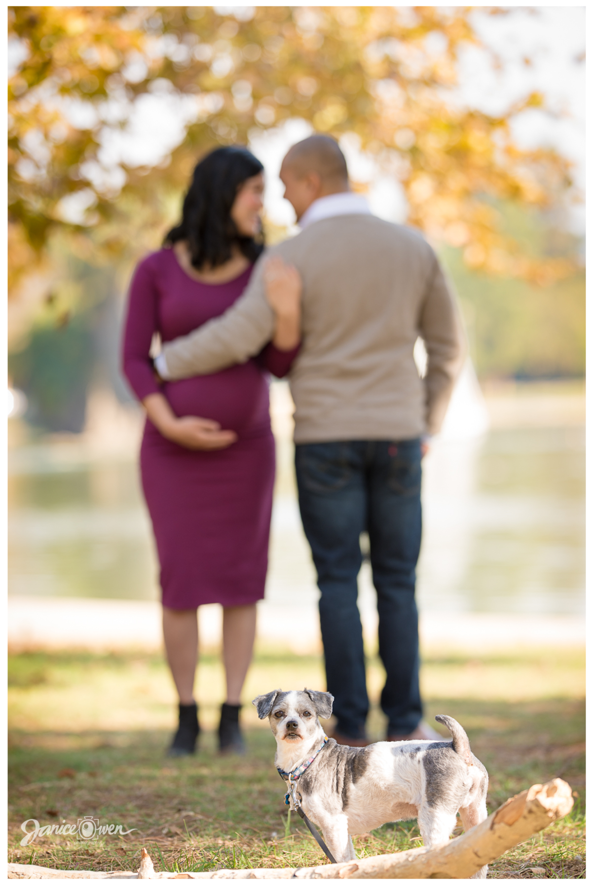 janiceowenphotography_maternity4.jpg