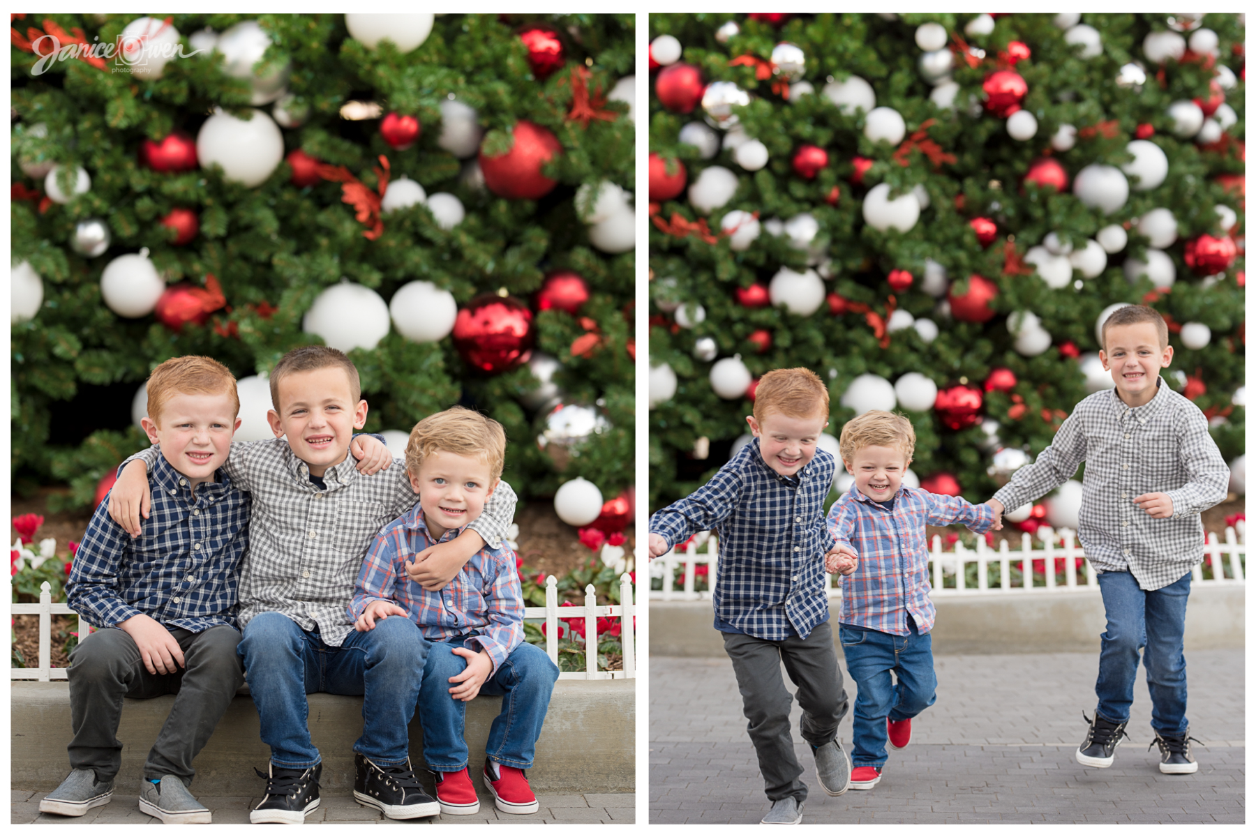 janiceowenphotography_holidayminisession(5).jpg