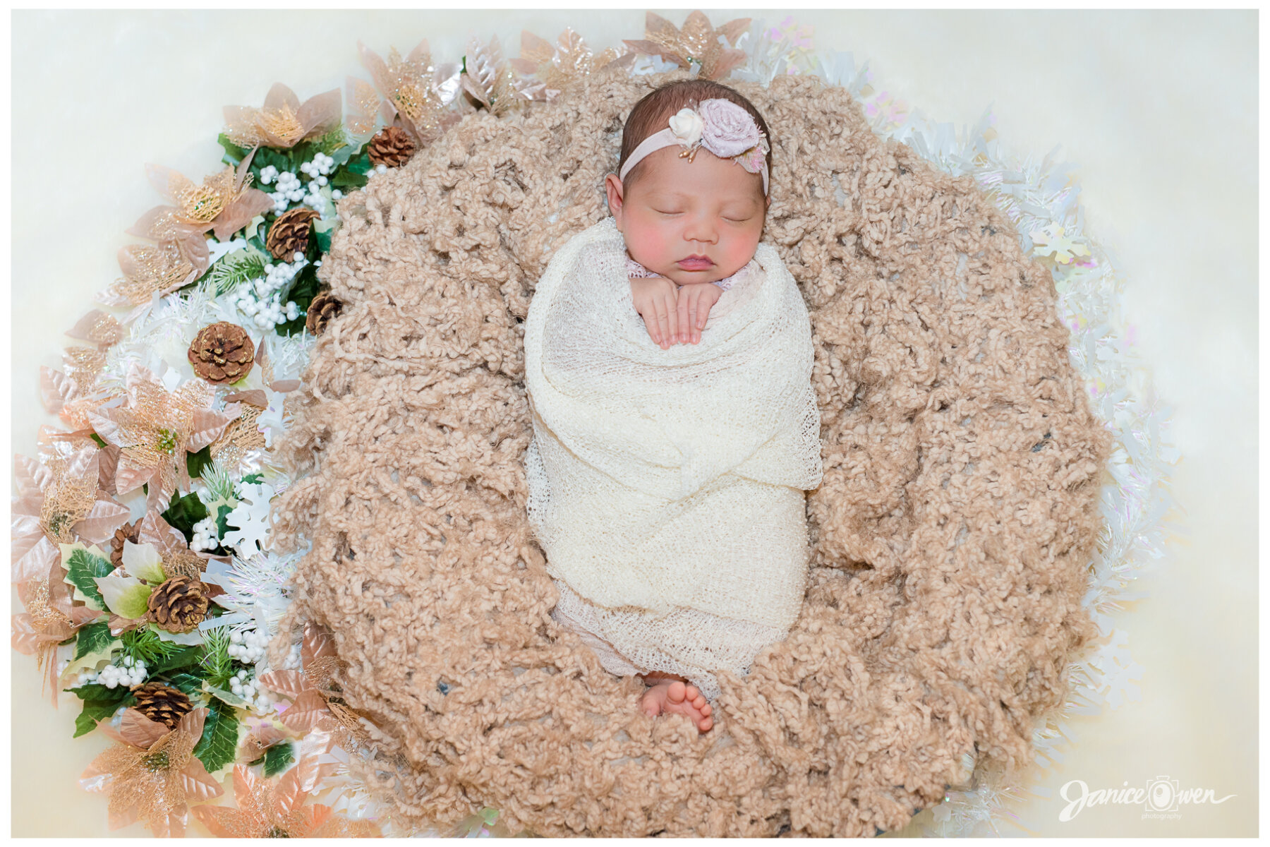 NewbornPortraits_janiceowenphotography 5.jpg