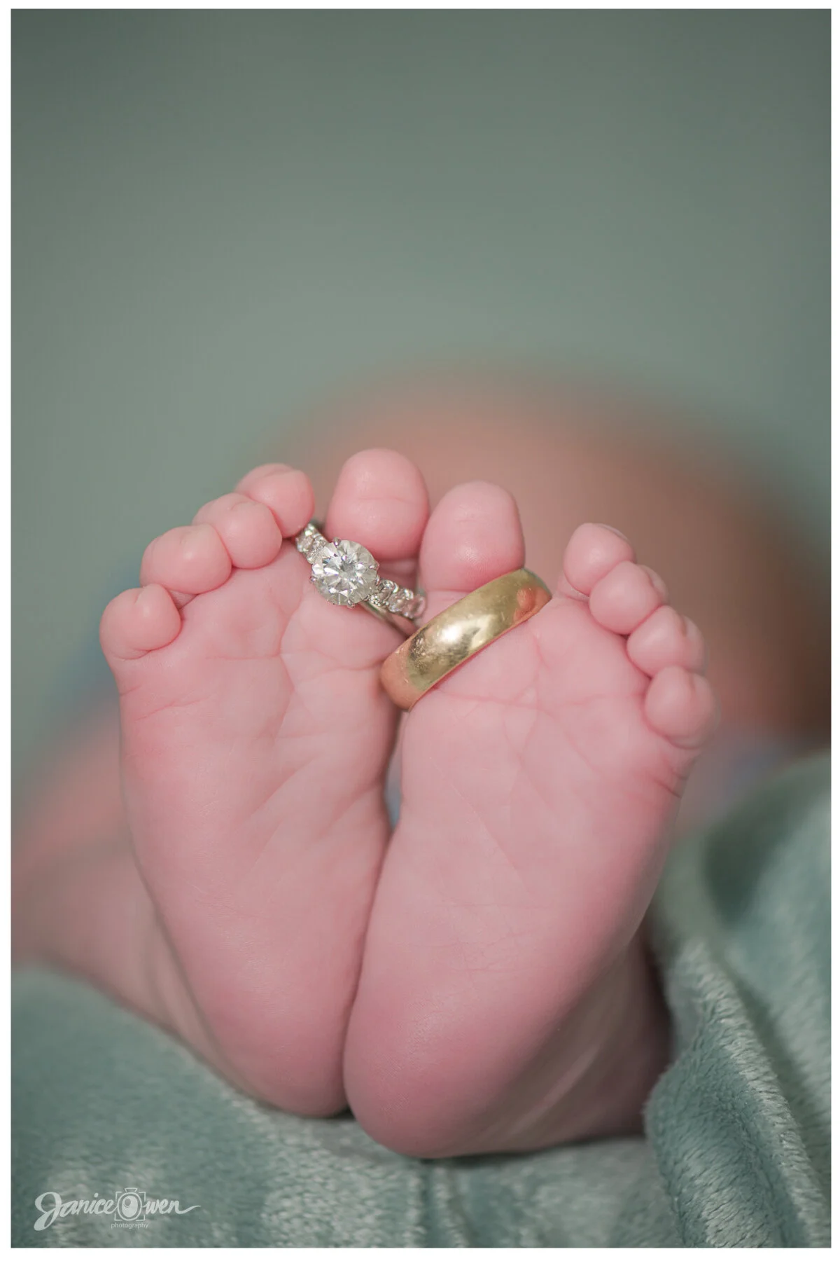 NewbornPortraits_janiceowenphotography 3.jpg